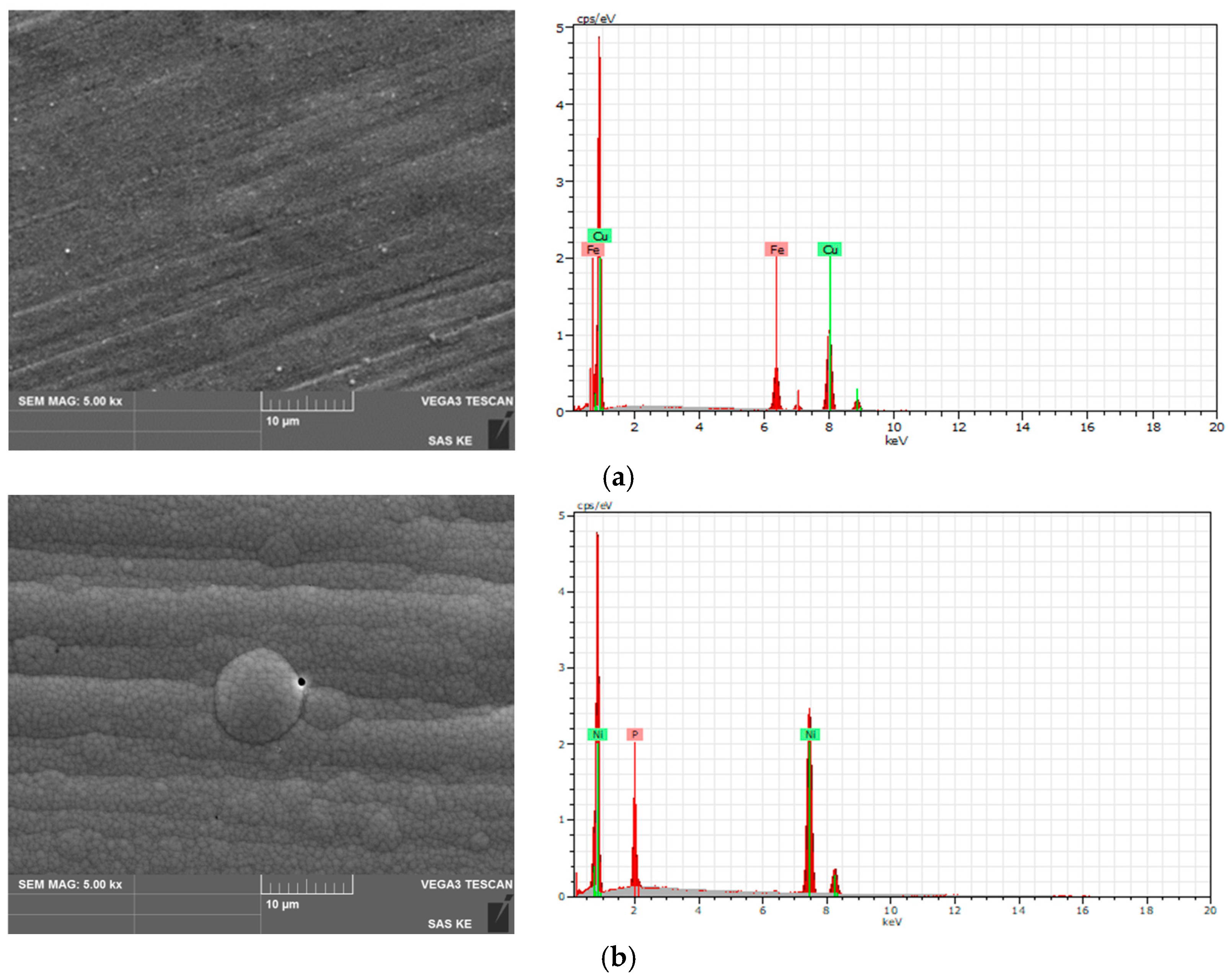 Coatings 15 00585 g004