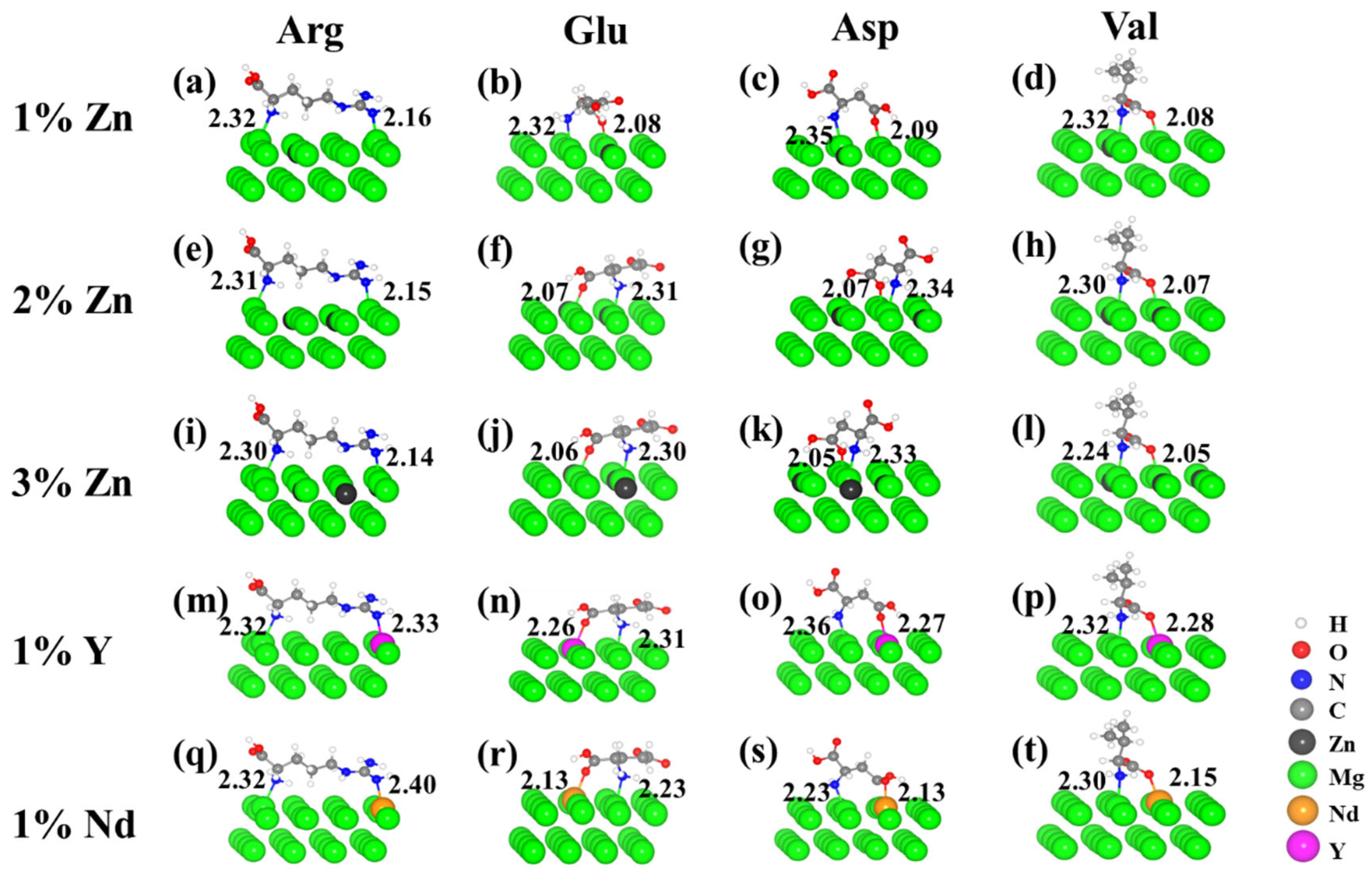 Interfacial Adsorption Mechanisms of Arginine, Glutamic Acid