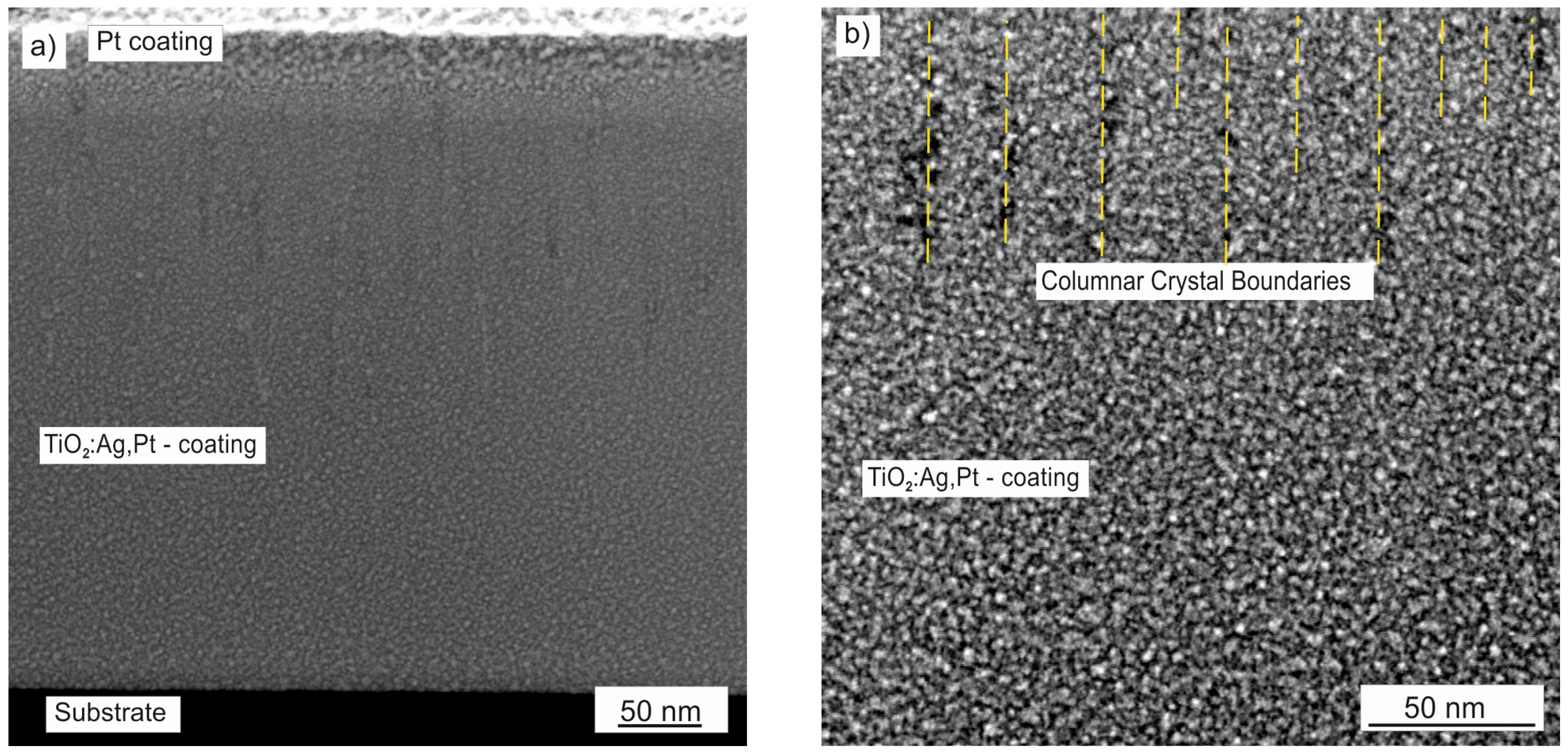 Coatings 15 00587 g002