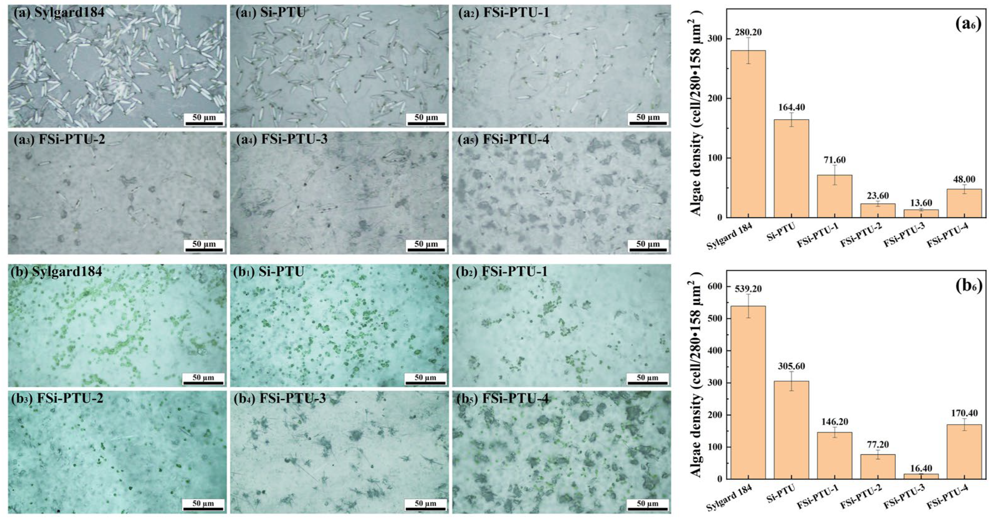 Coatings 15 00588 g009