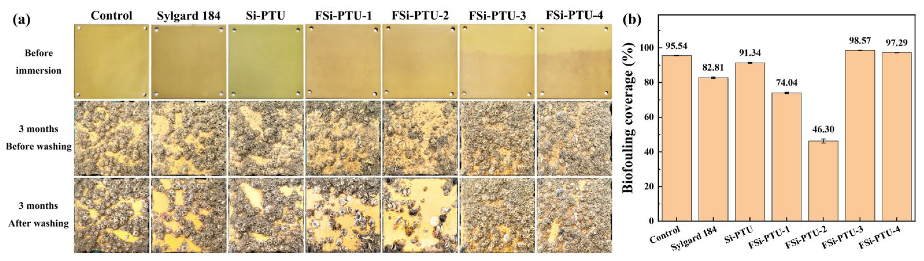 Coatings 15 00588 g010