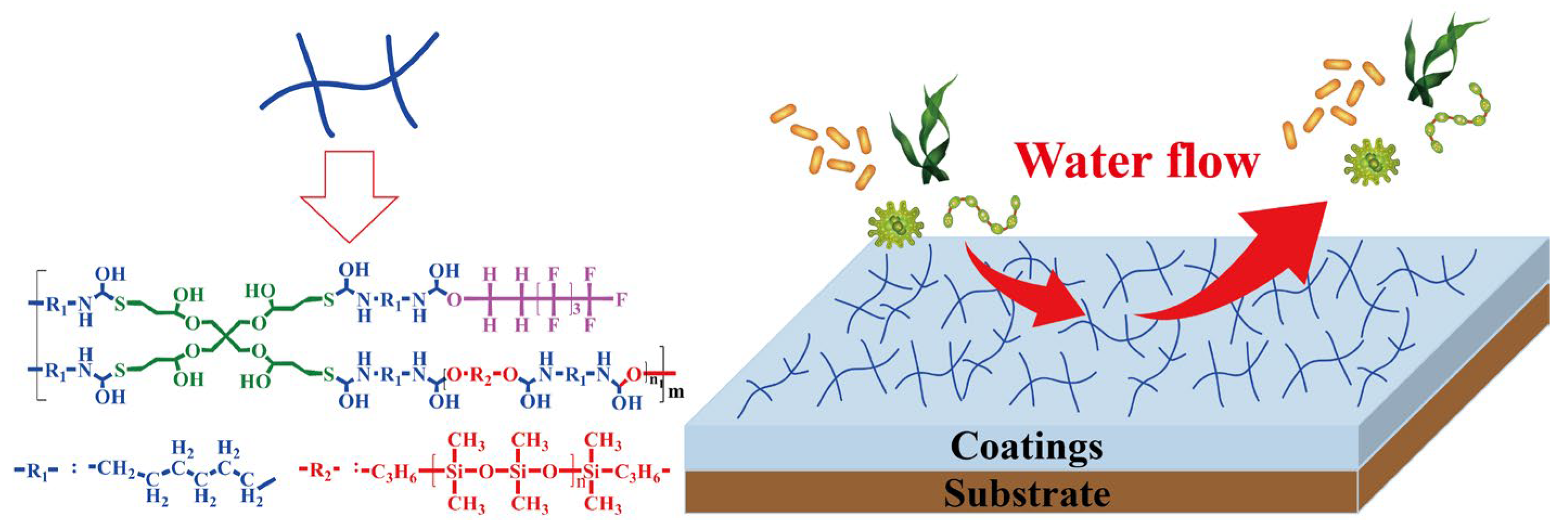 Coatings 15 00588 g011
