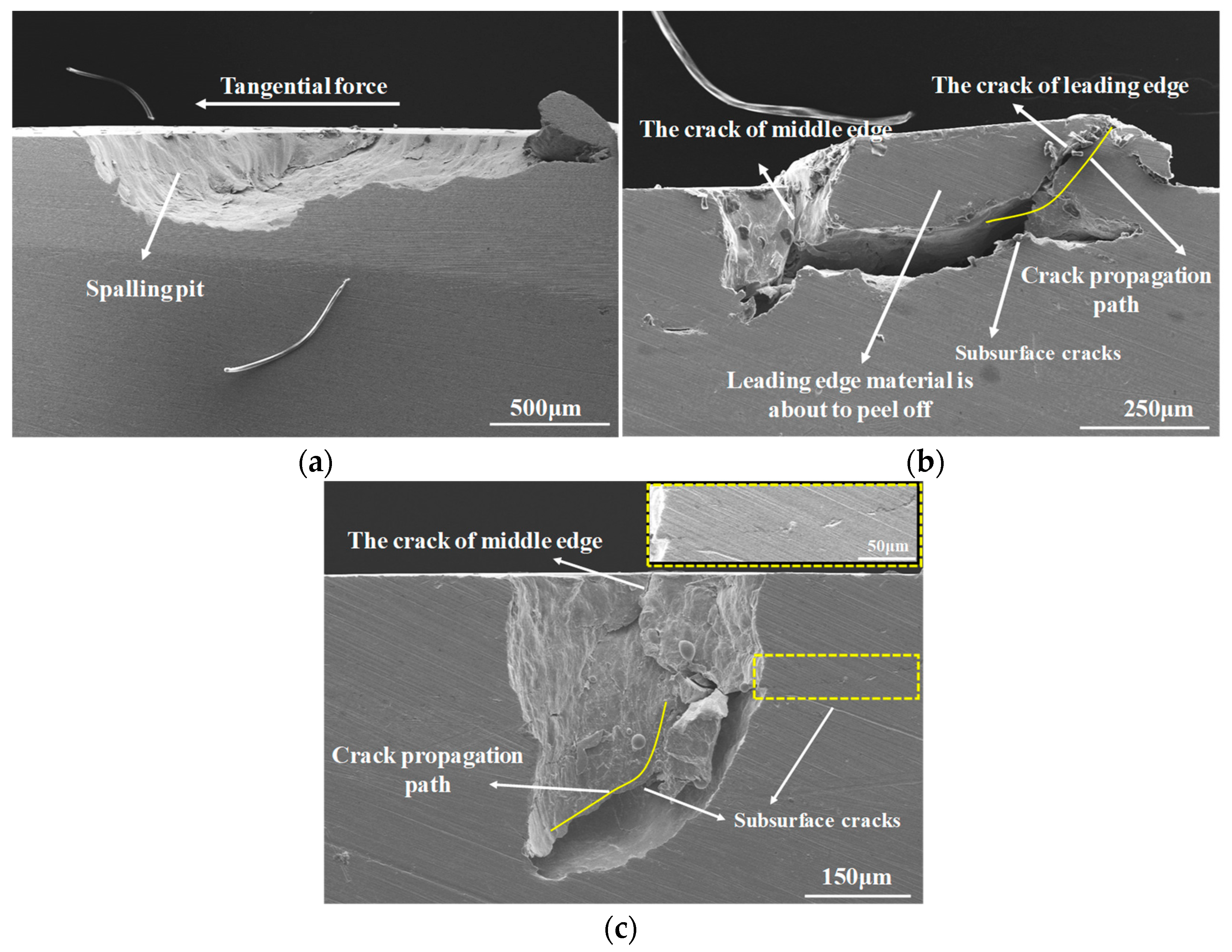 Coatings 15 00589 g012