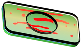 Coatings 15 00589 i002