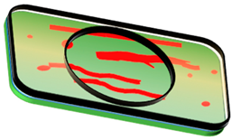 Coatings 15 00589 i003