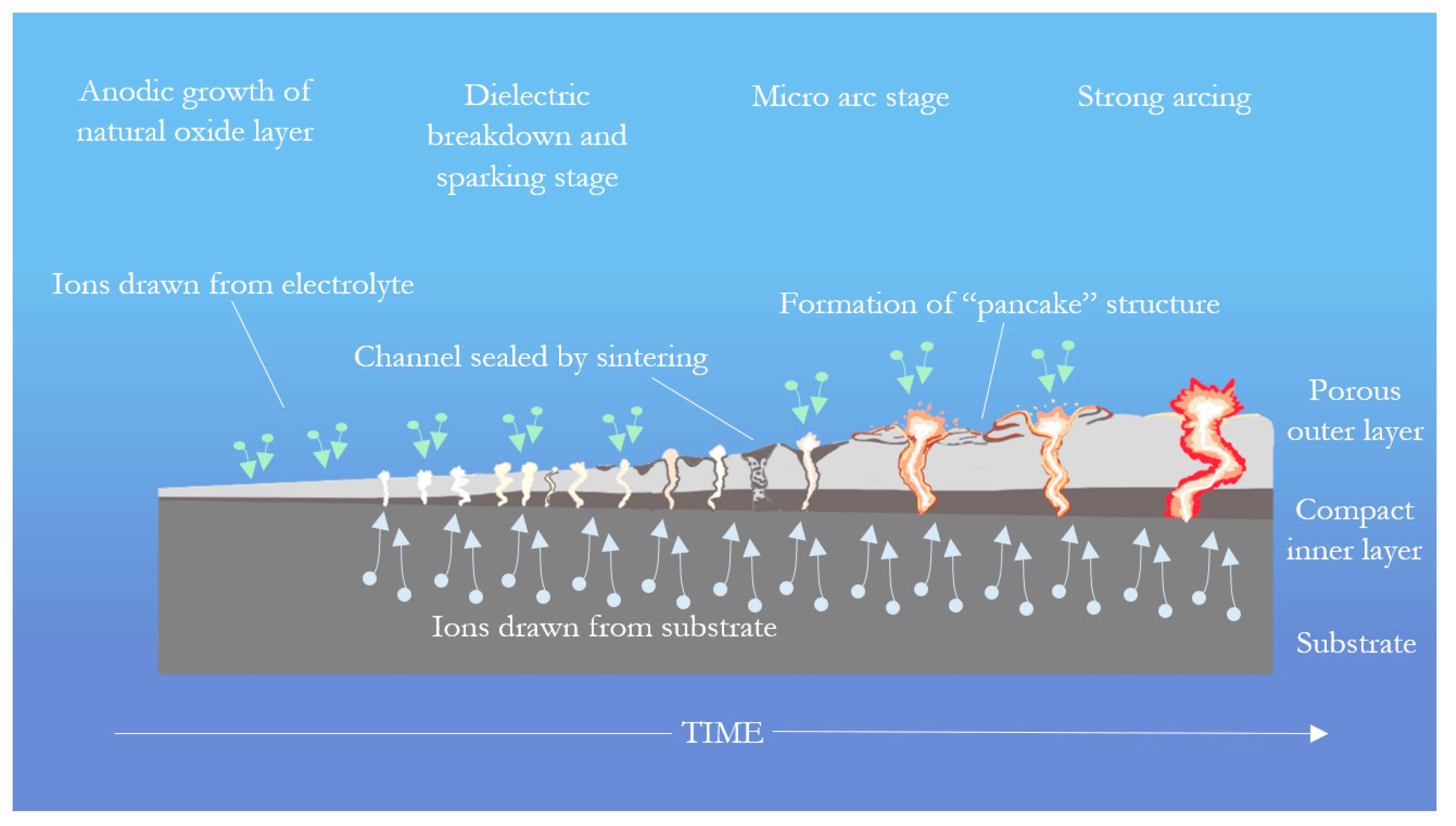 Coatings 15 00592 g001 Coatings 15 00592 g001