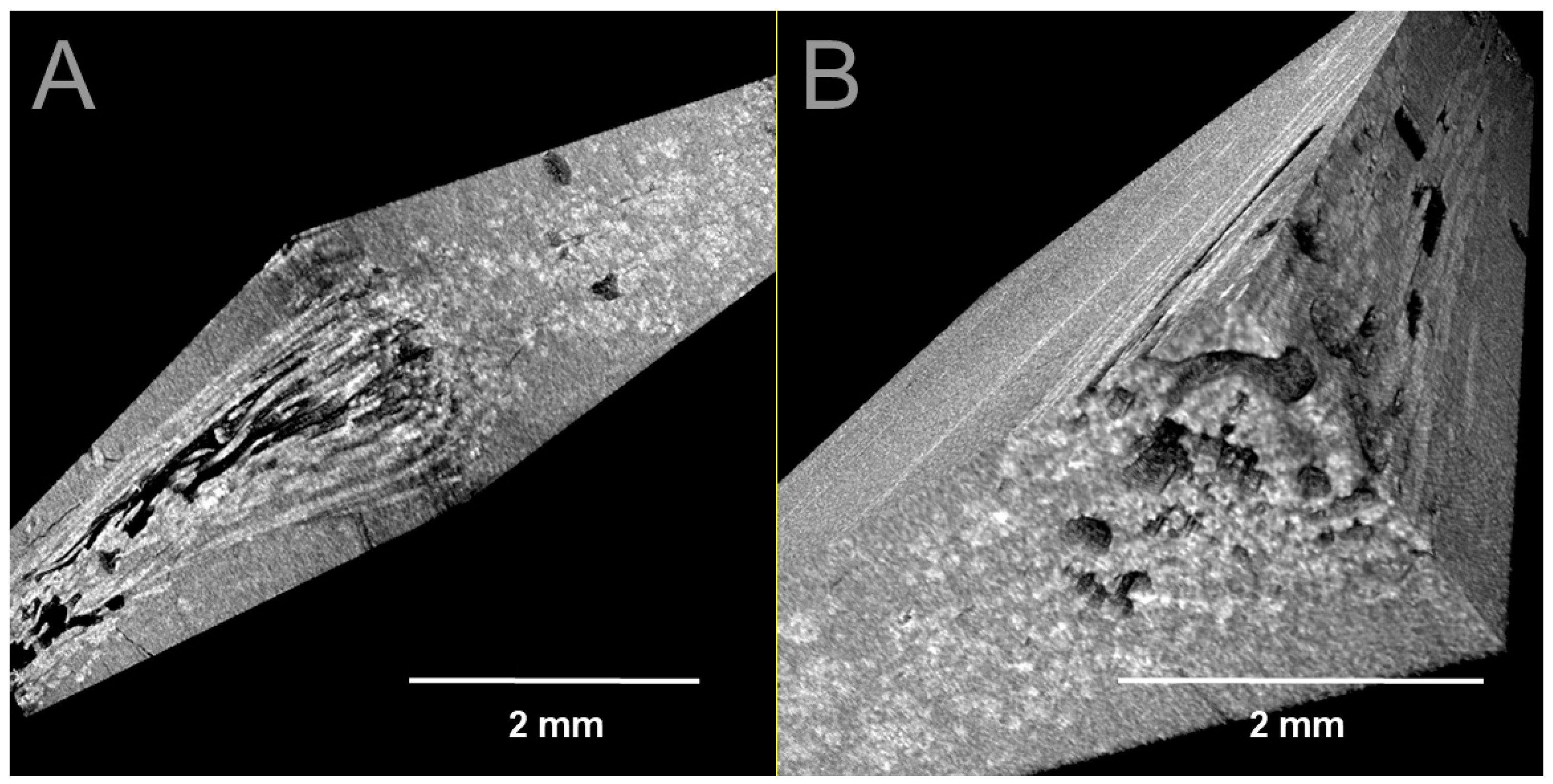 Coatings 15 00595 g005