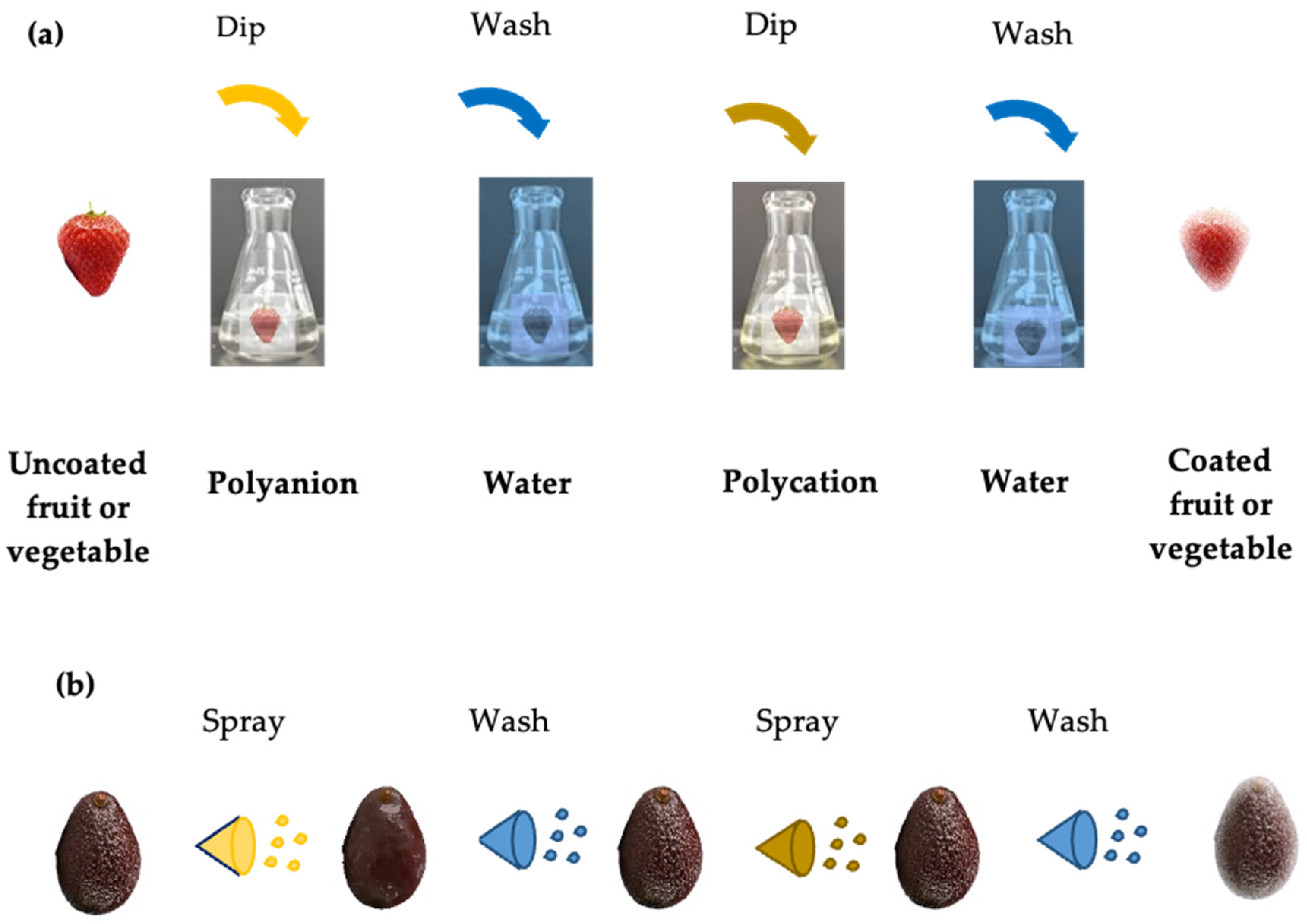 Coatings 15 00597 g002
