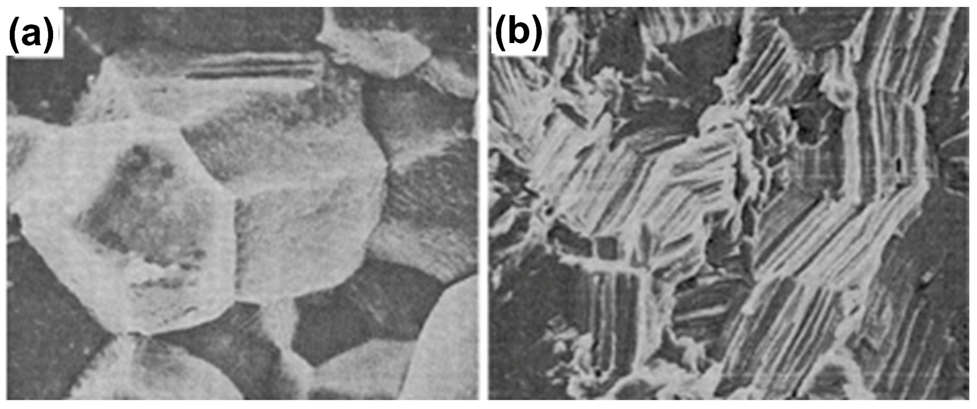 Coatings 15 00599 g004 Coatings 15 00599 g004