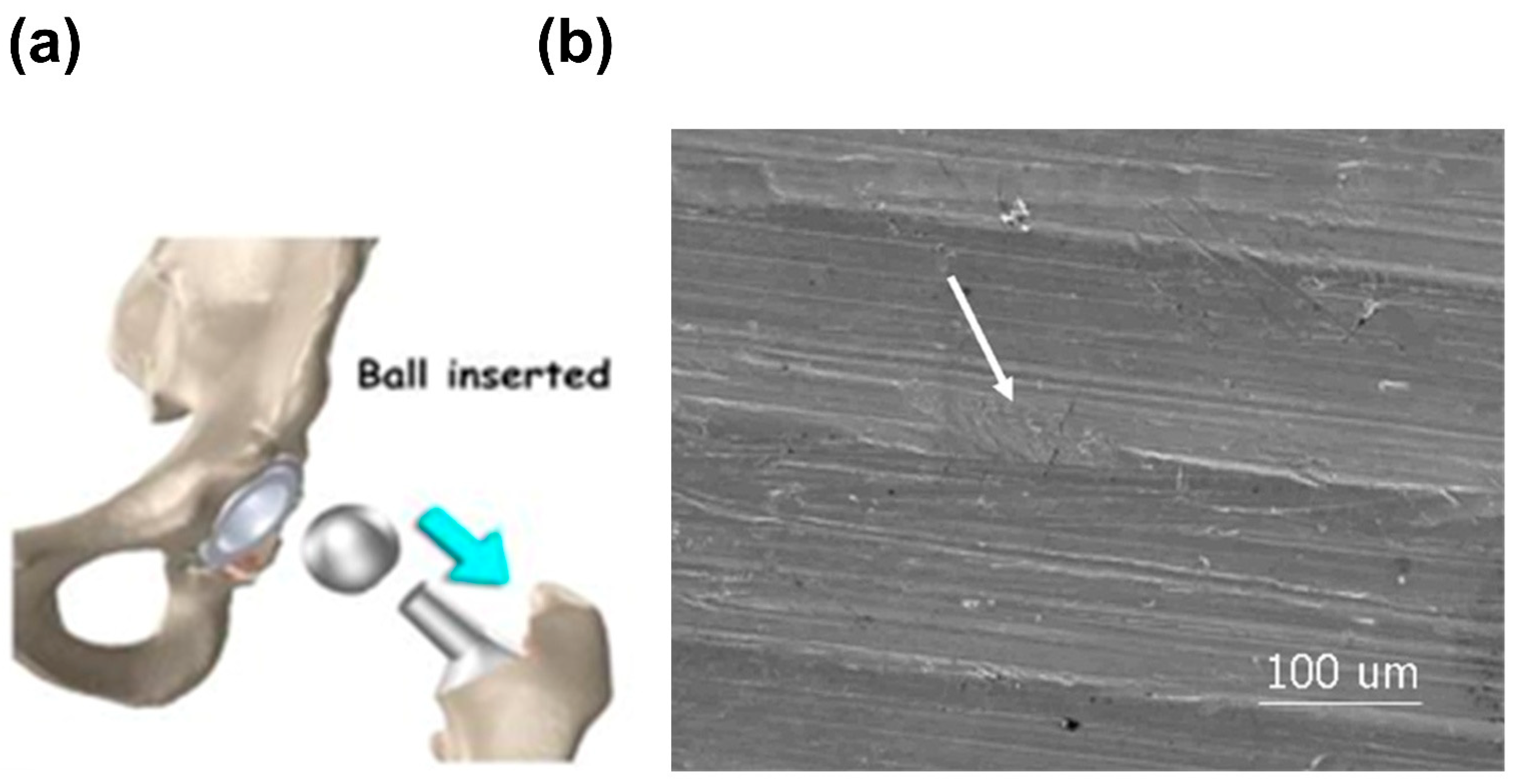 Coatings 15 00599 g006