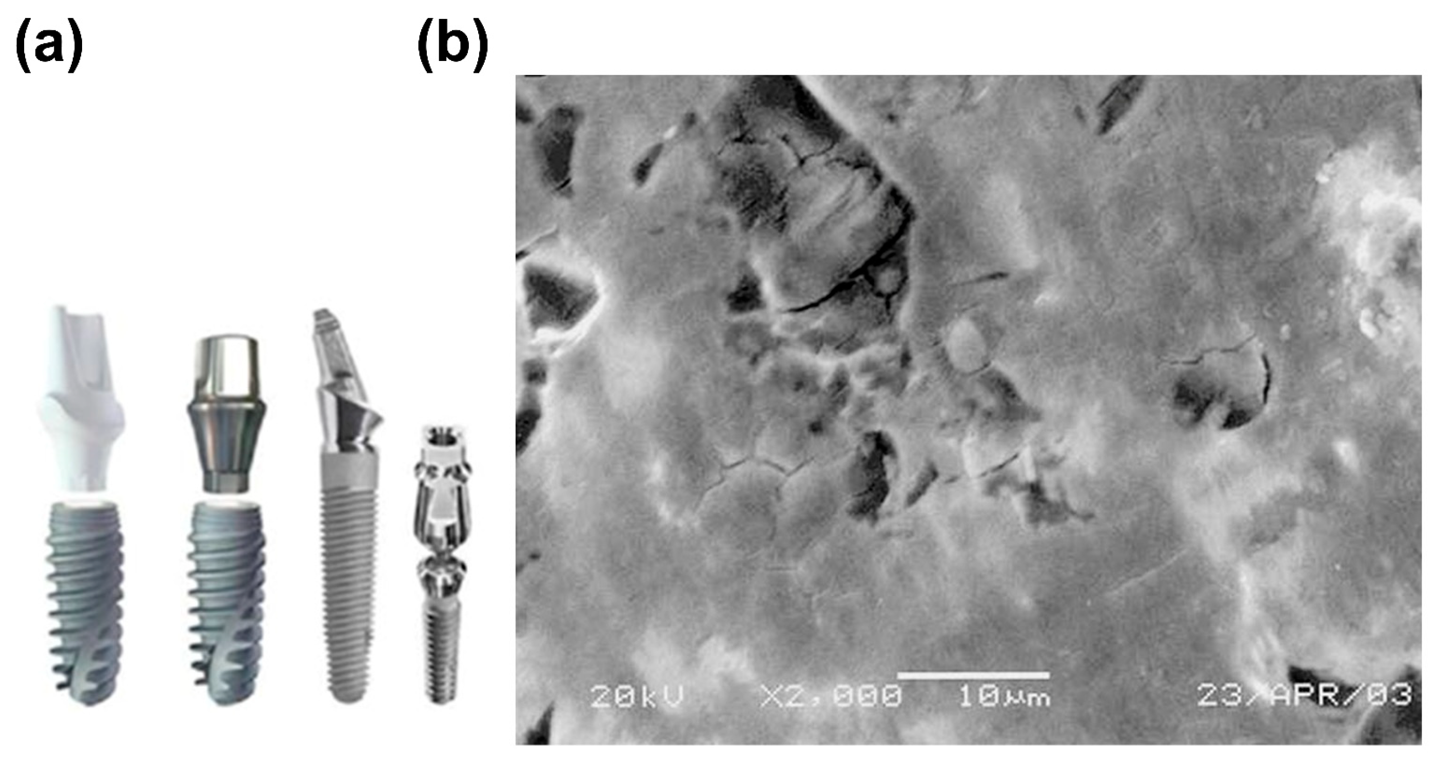 Coatings 15 00599 g007