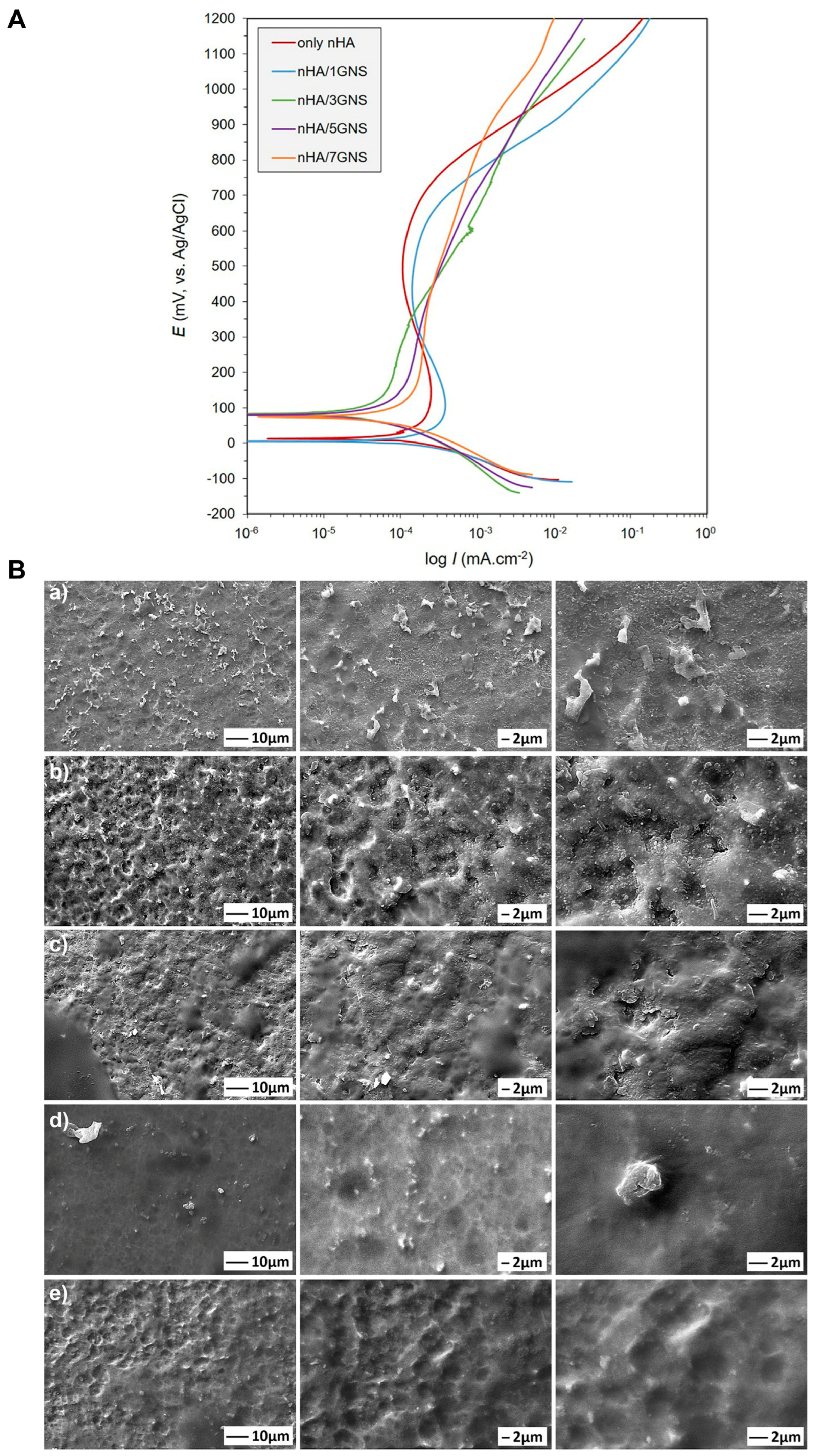 Coatings 15 00599 g013 Coatings 15 00599 g013