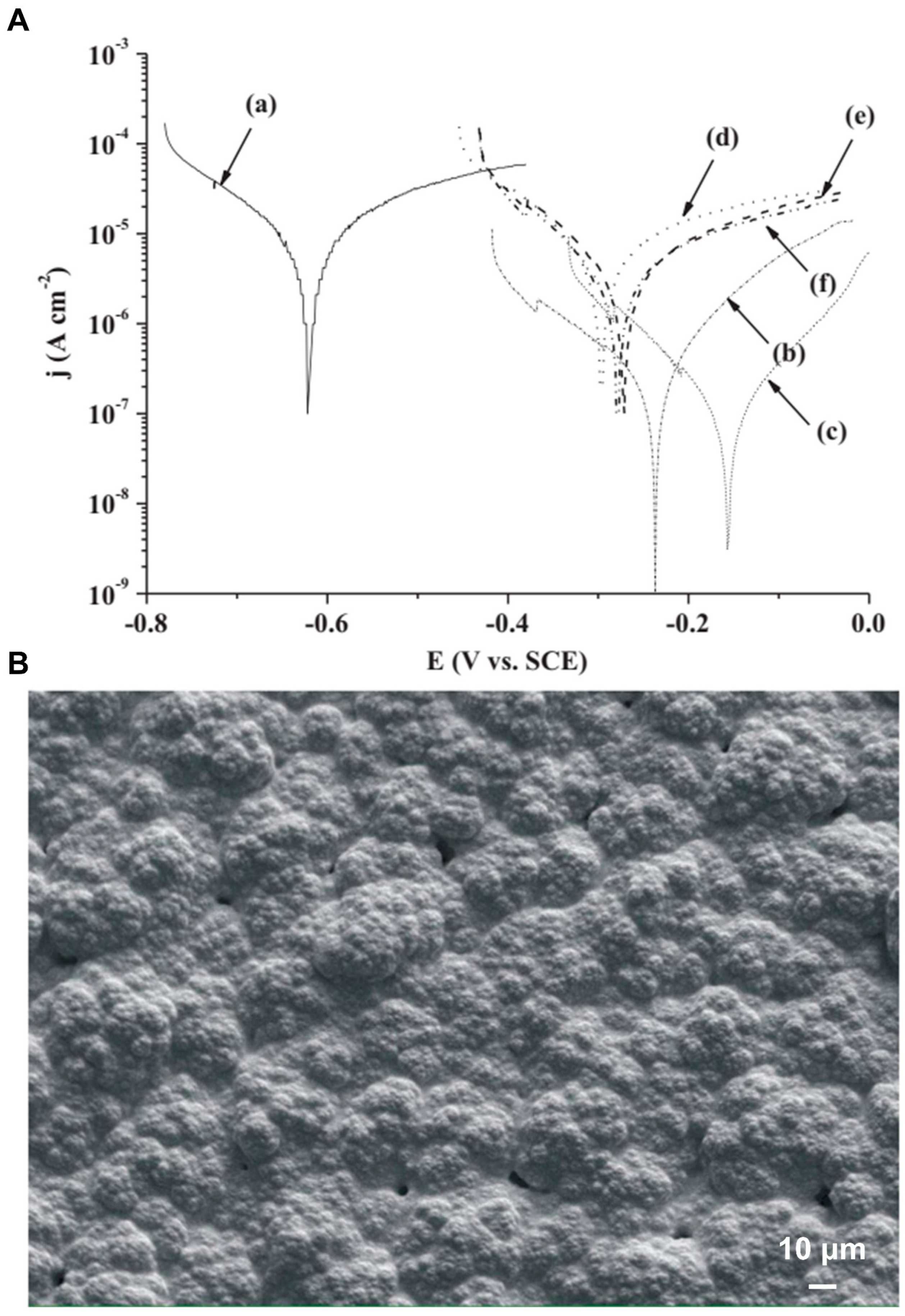 Coatings 15 00599 g020 Coatings 15 00599 g020