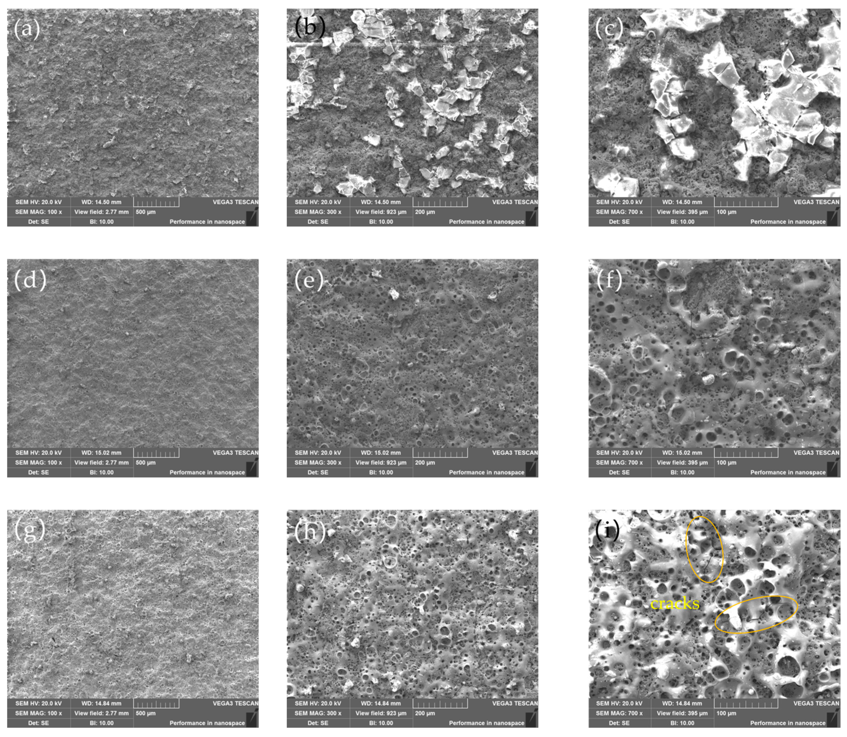 Coatings 15 00600 g007