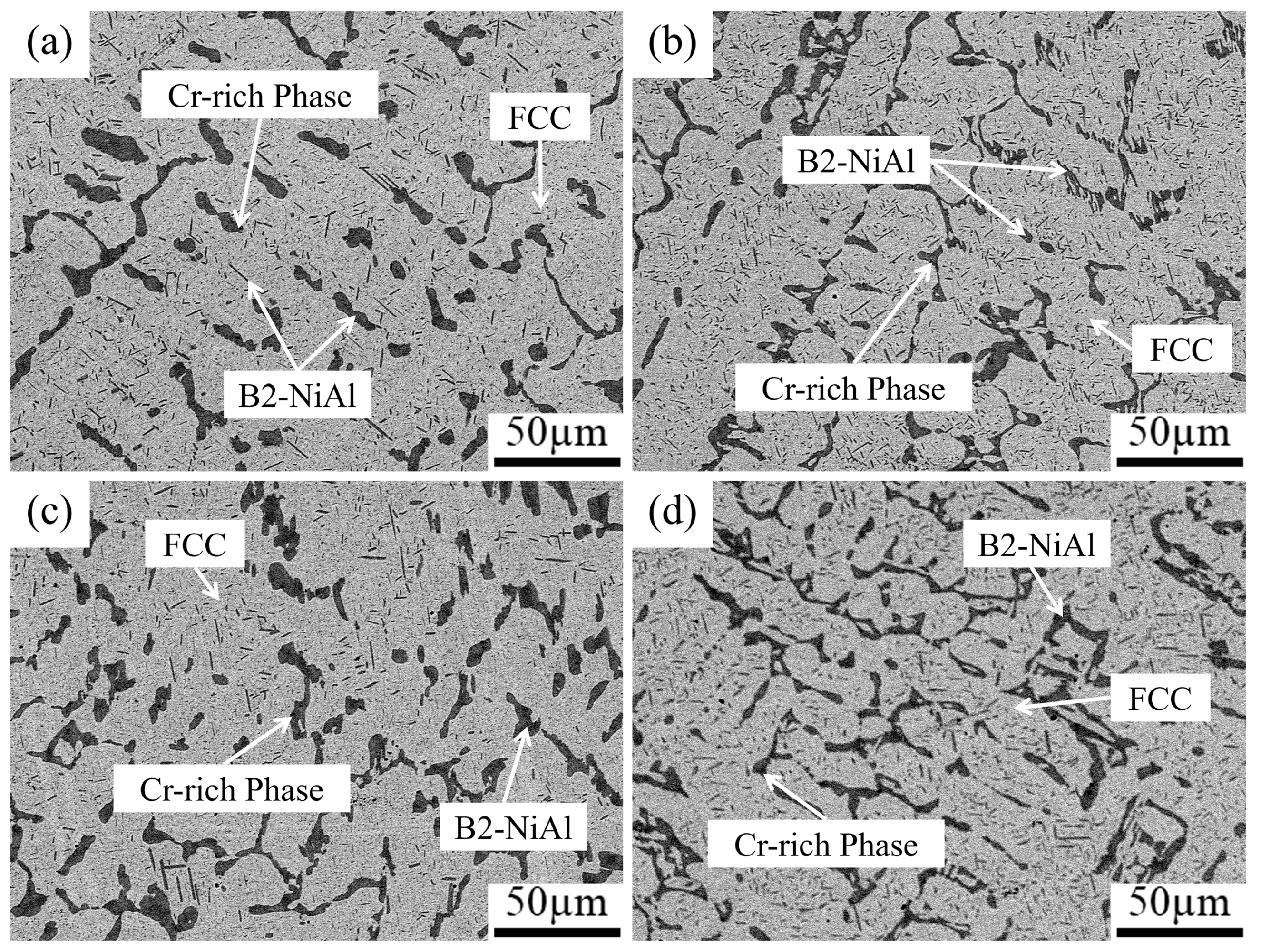 Coatings 15 00602 g004