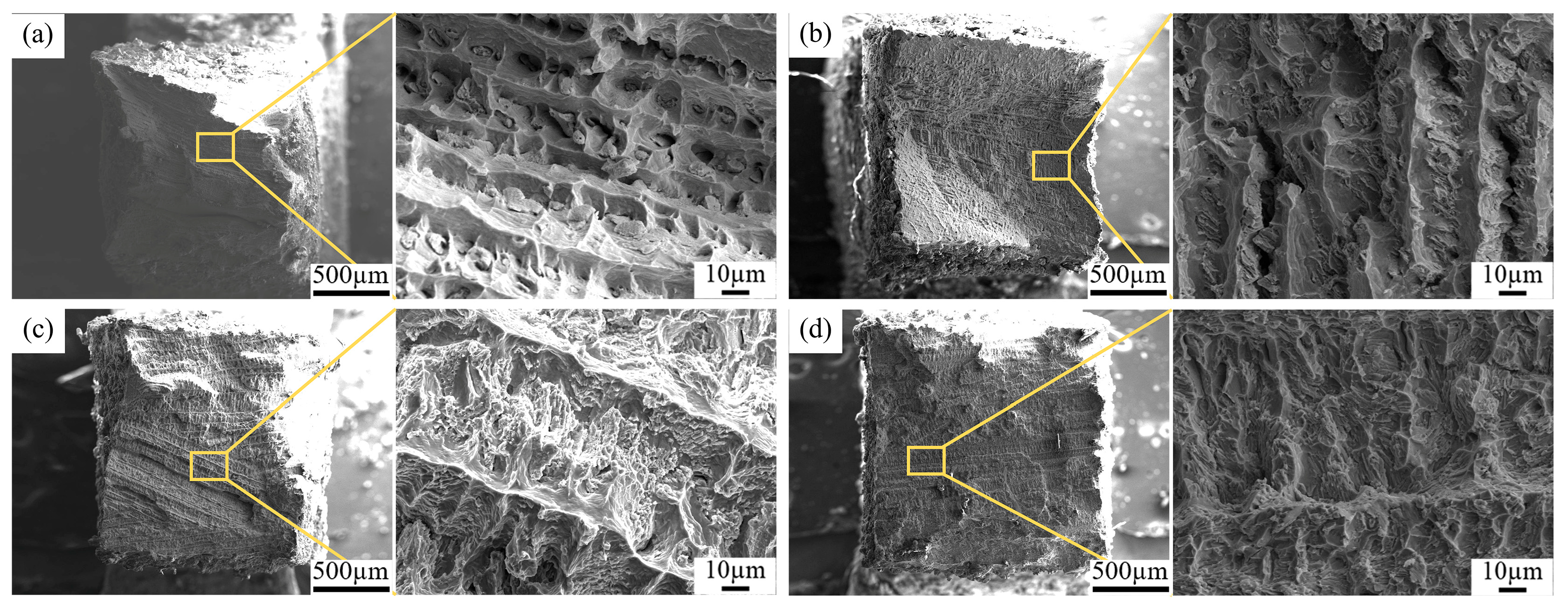 Coatings 15 00602 g008