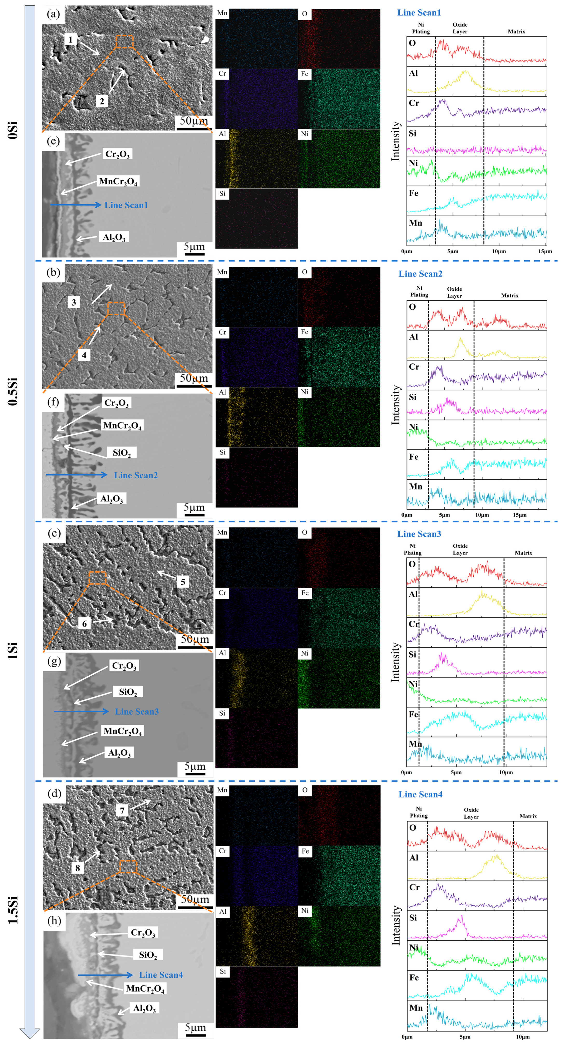 Coatings 15 00602 g010