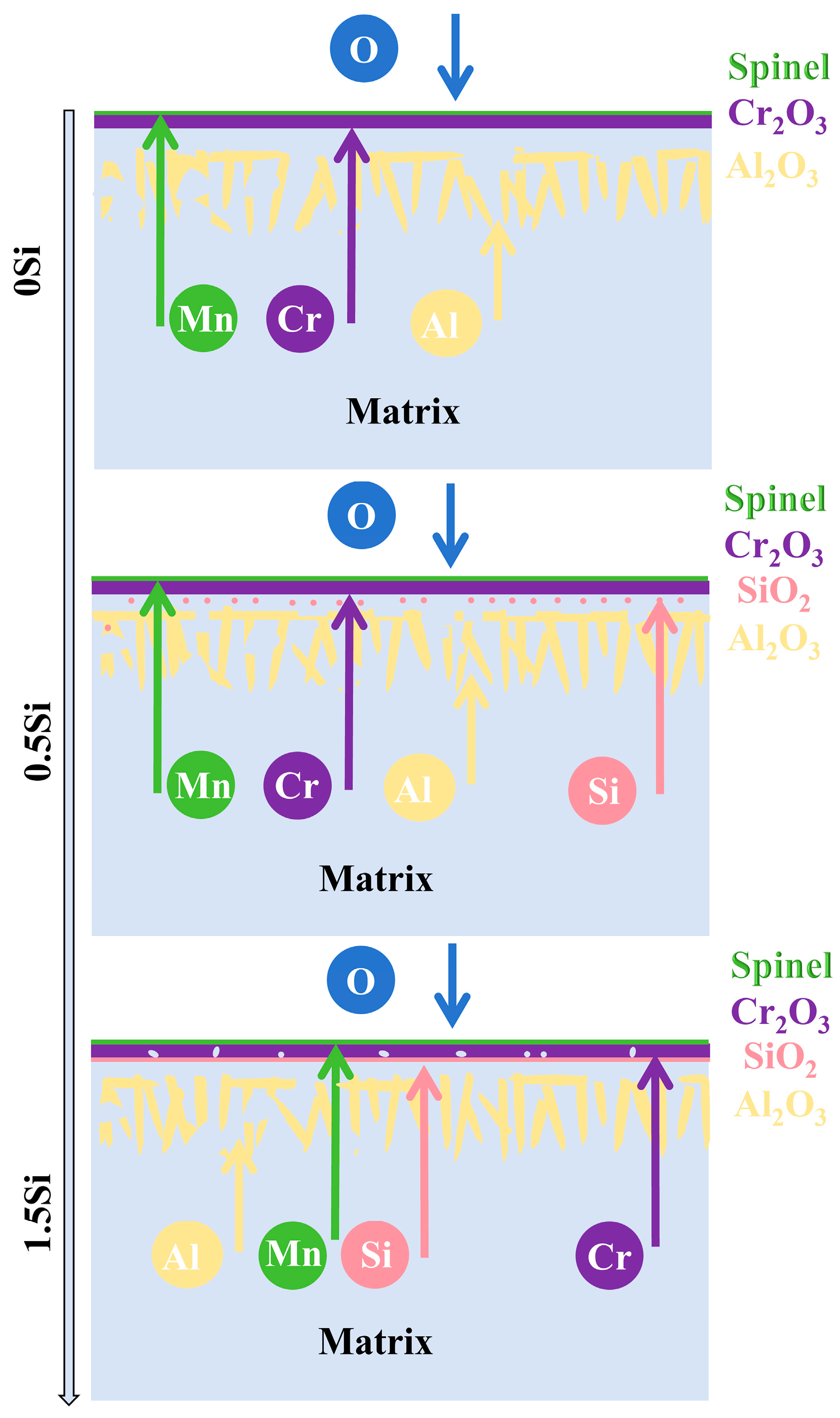 Coatings 15 00602 g012