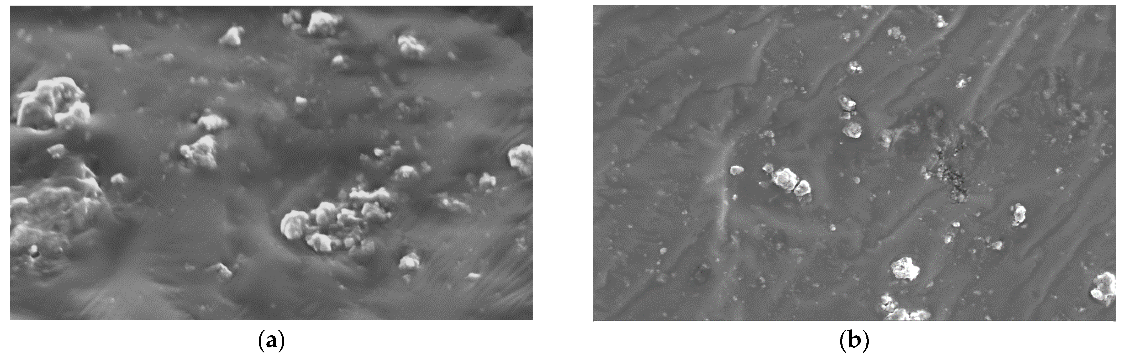 Coatings 15 00604 g008