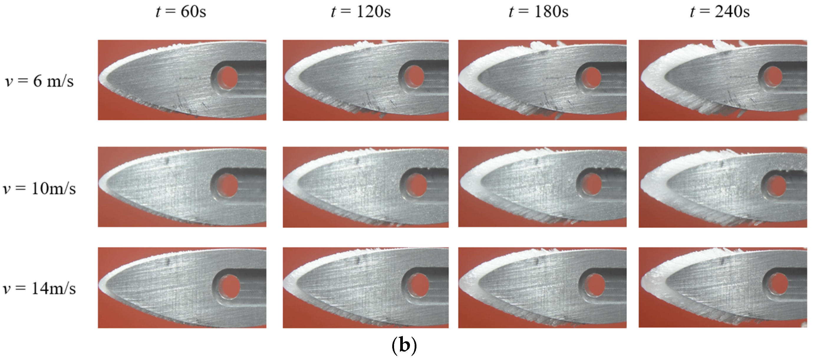 Coatings 15 00606 g006b
