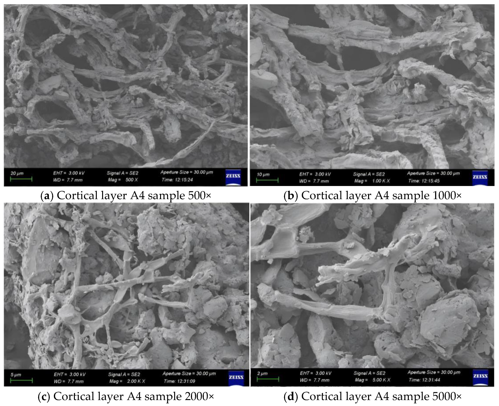 Coatings 15 00608 g016