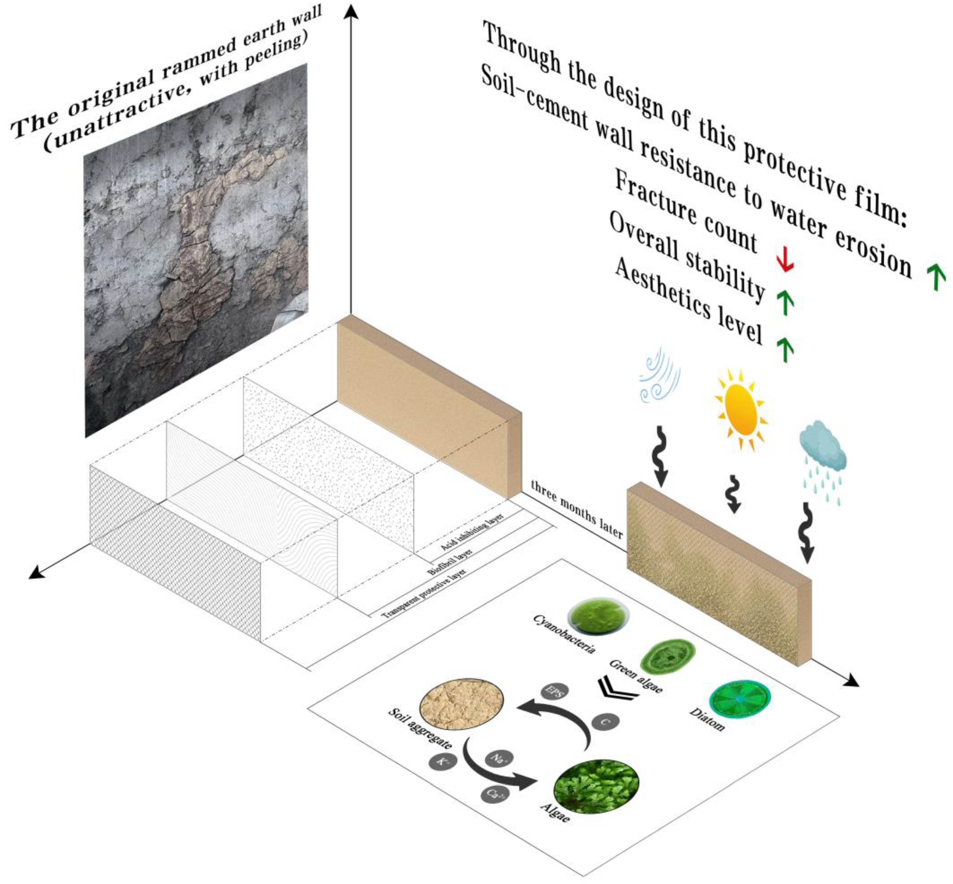 Coatings 15 00608 g017
