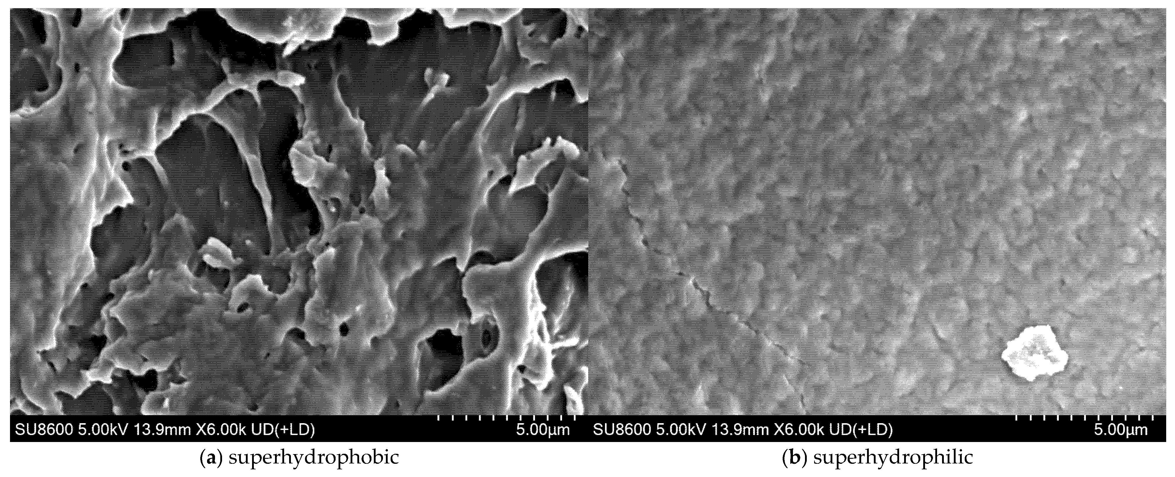 Coatings 15 00614 g005