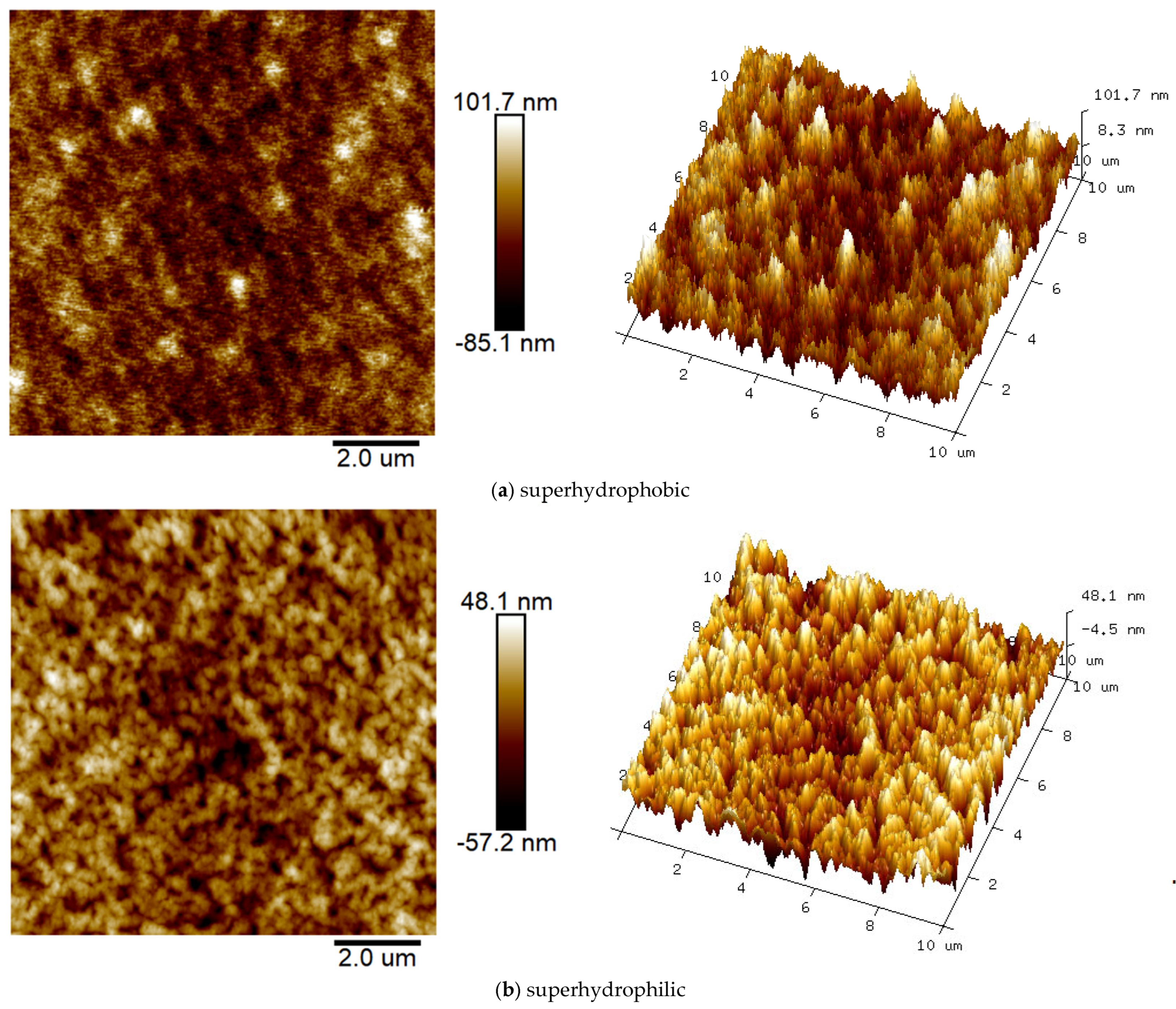 Coatings 15 00614 g006