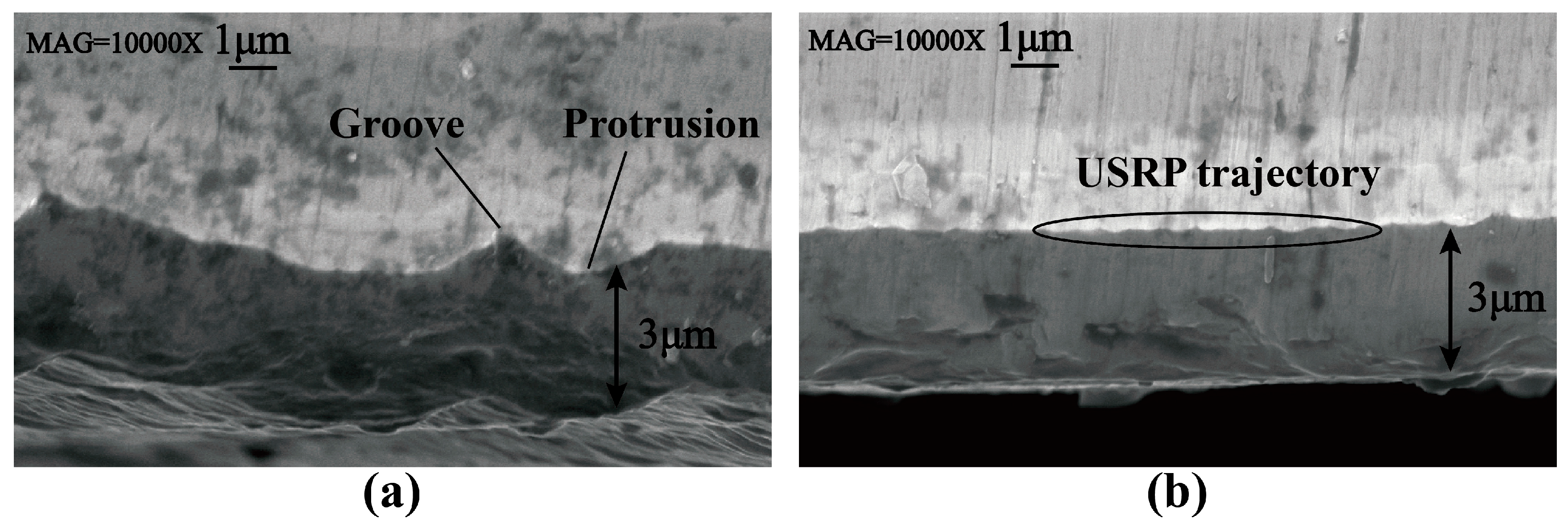 Coatings 15 00616 g008