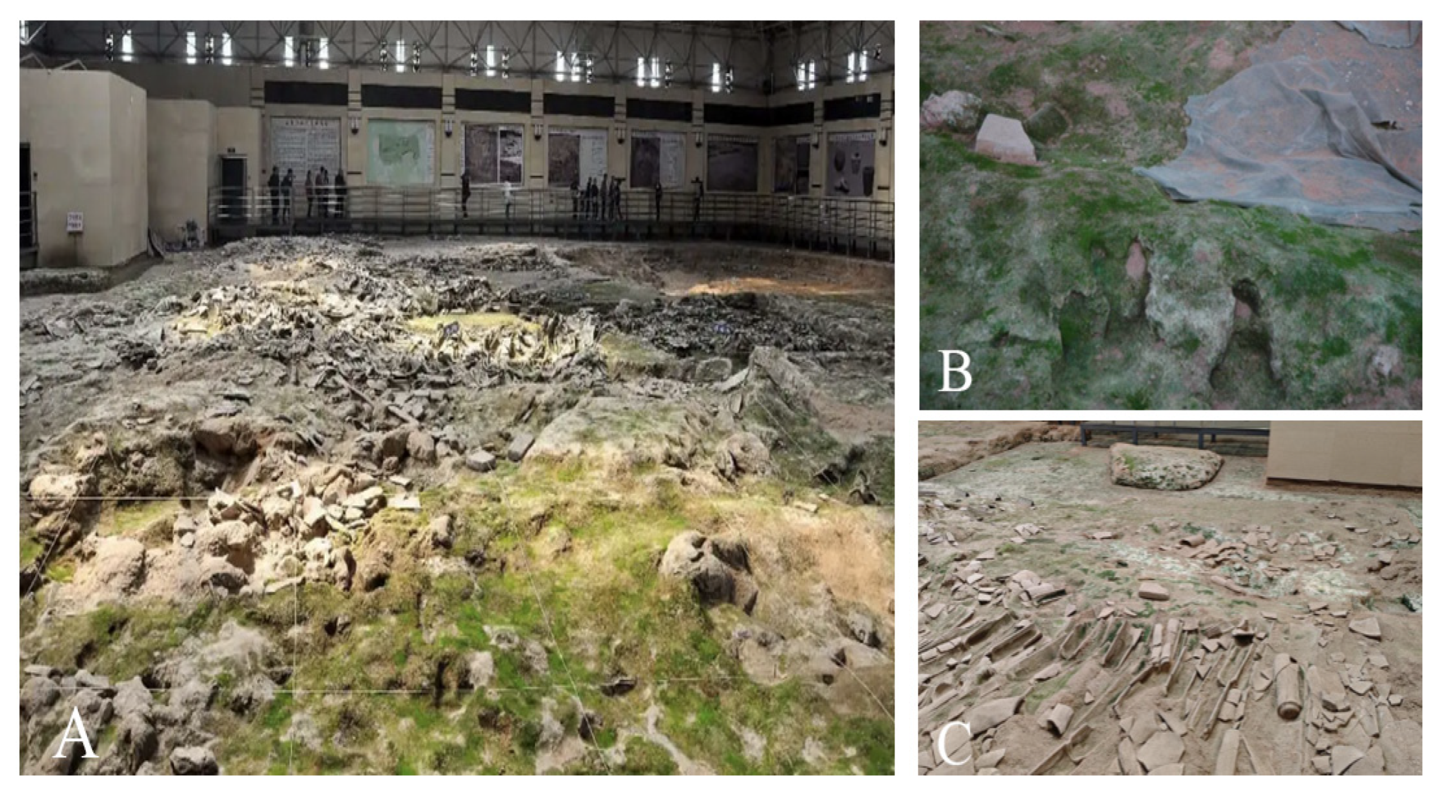 Coatings 15 00617 g001