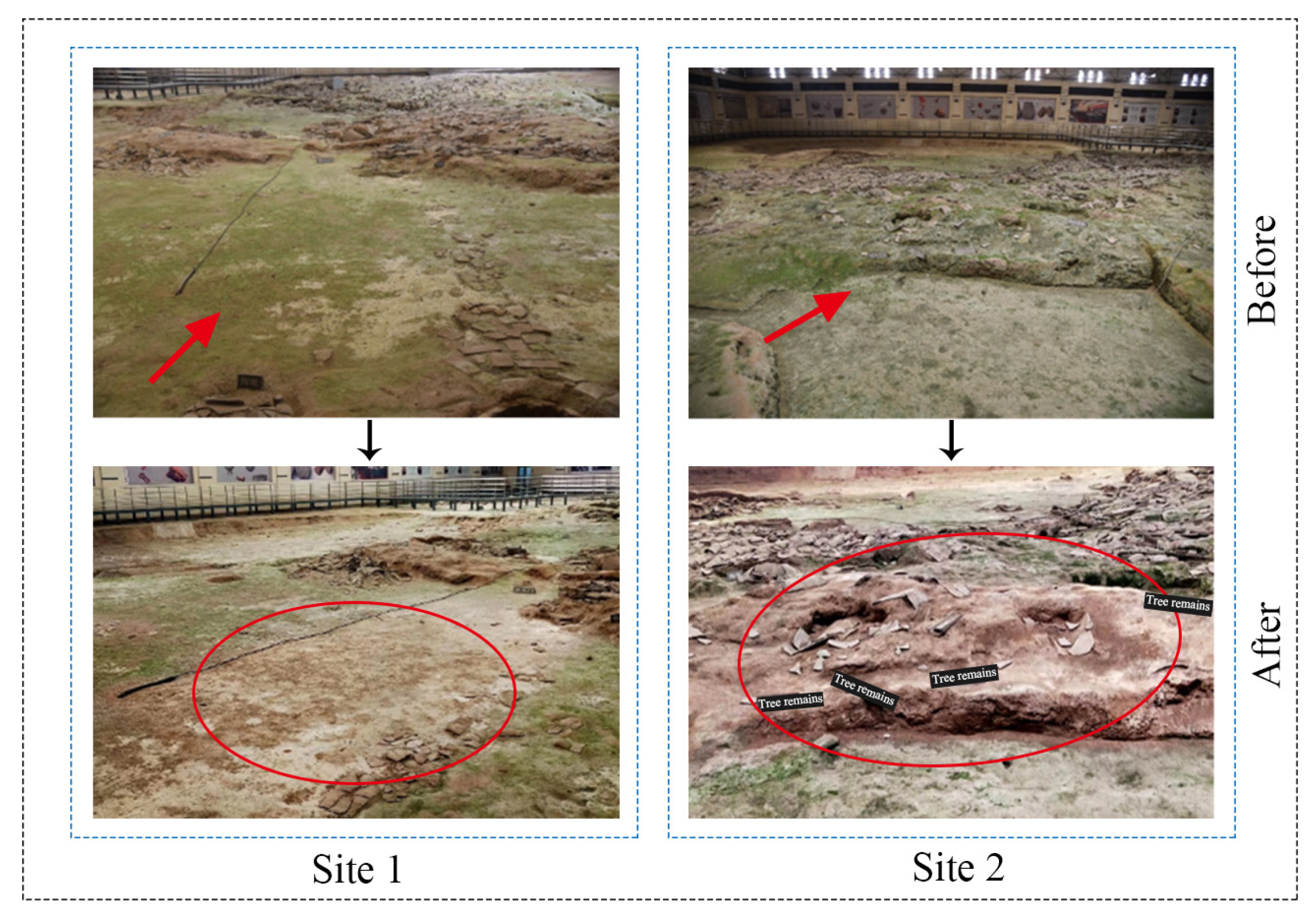 Coatings 15 00617 g005