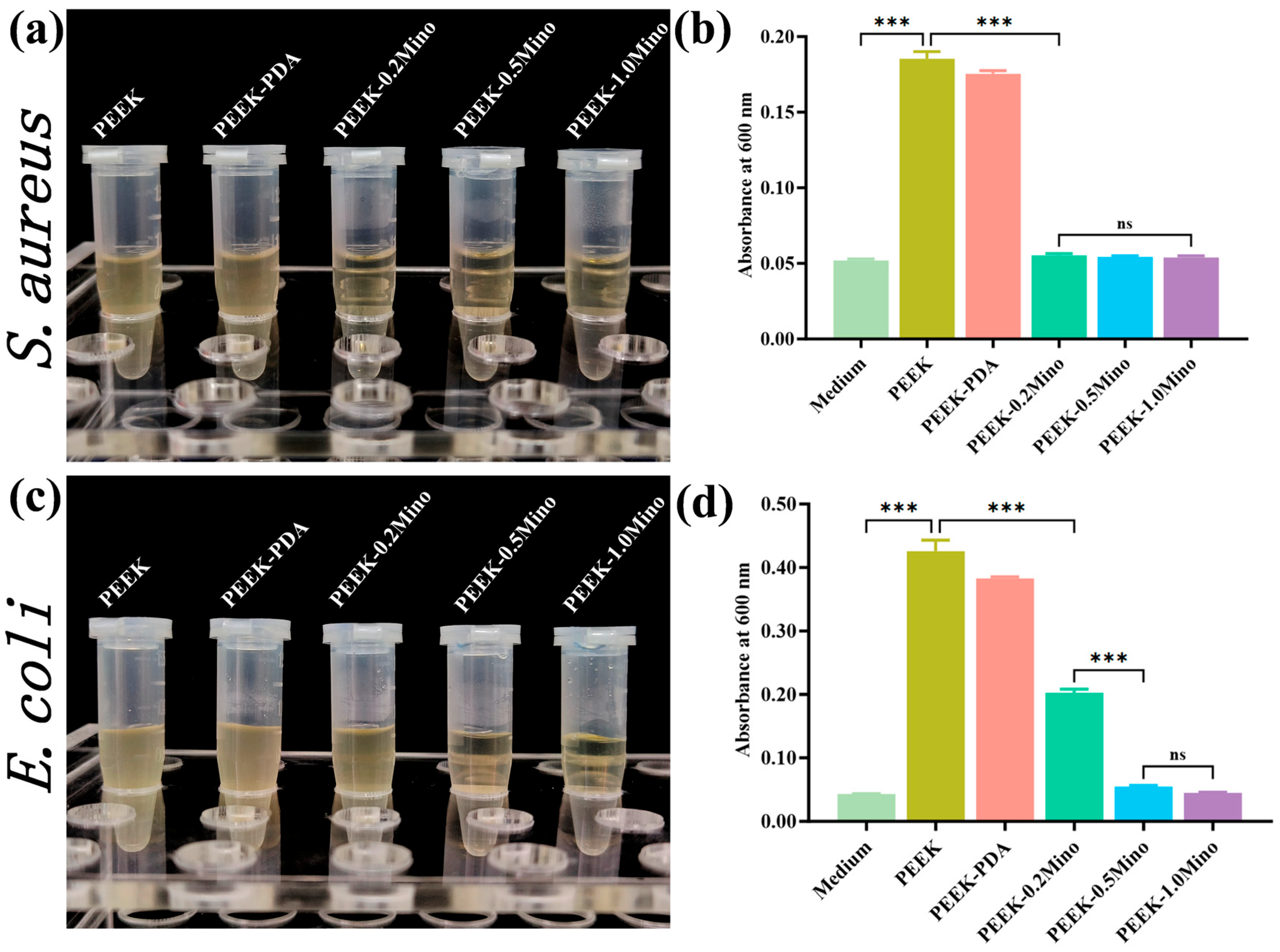 Coatings 15 00622 g007