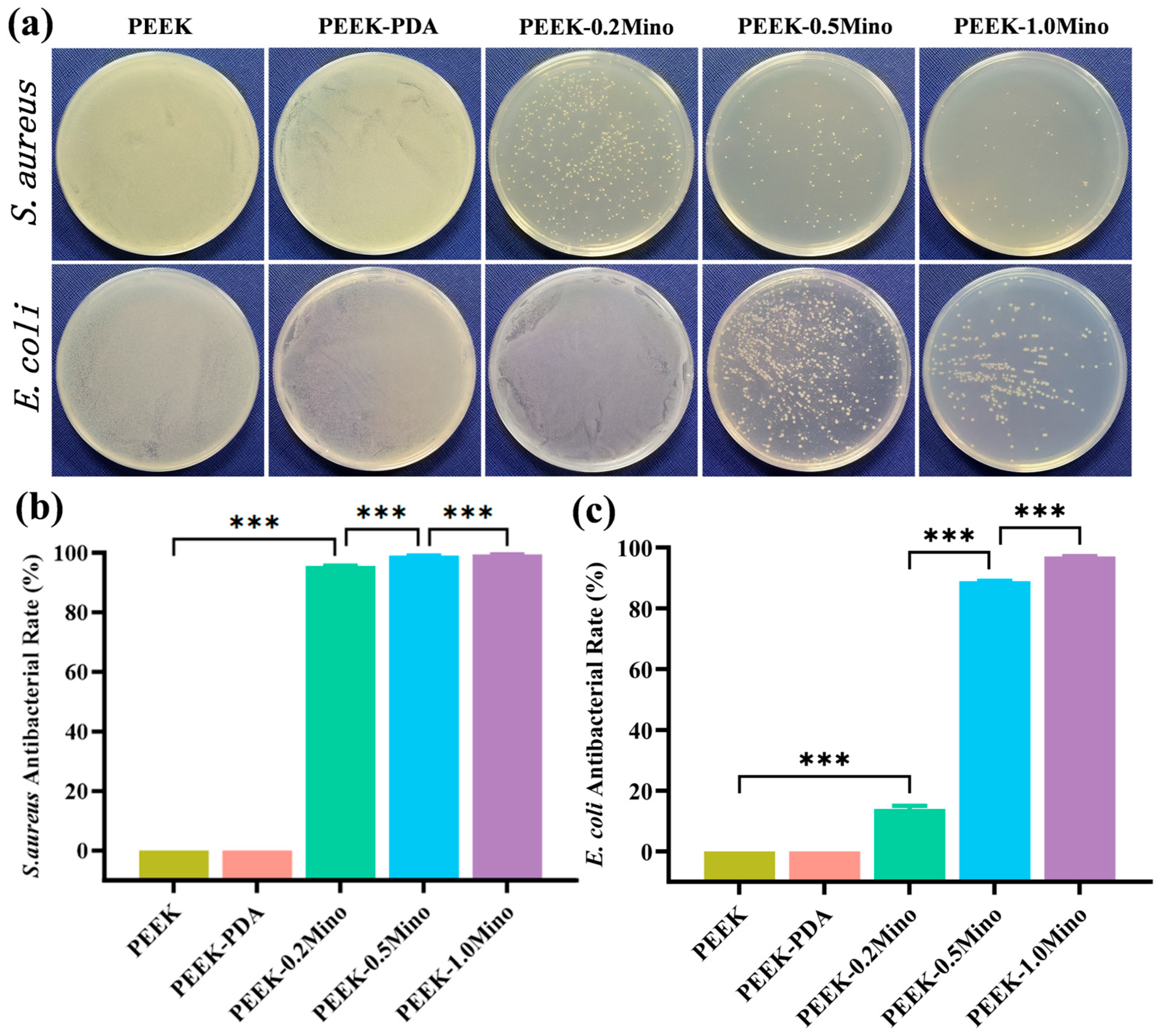 Coatings 15 00622 g008