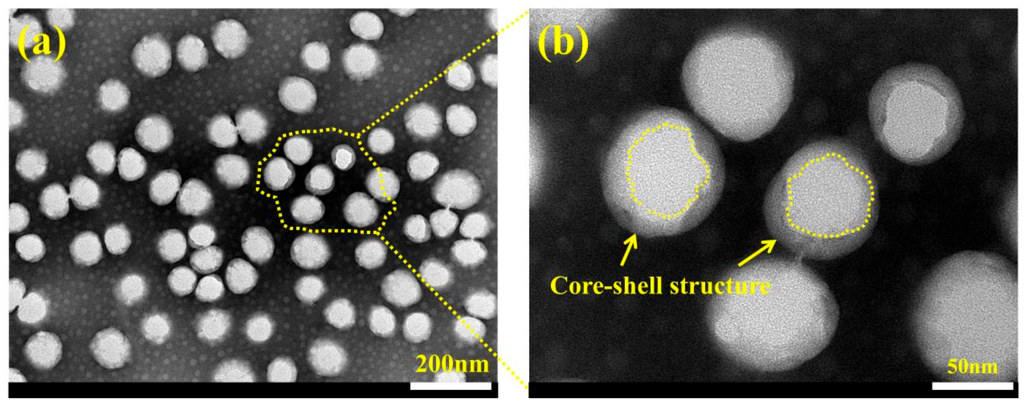 Coatings 15 00623 g004