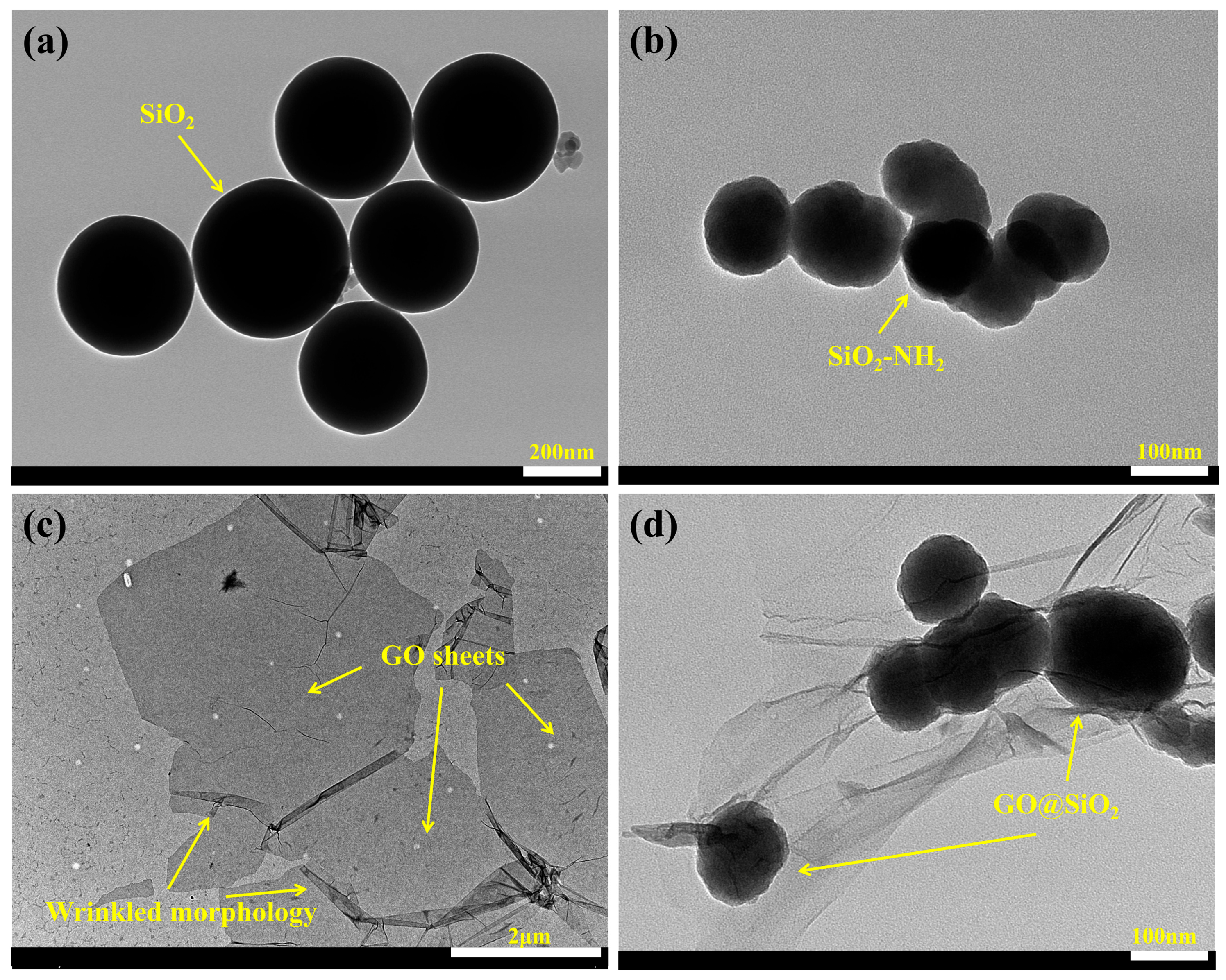 Coatings 15 00623 g007