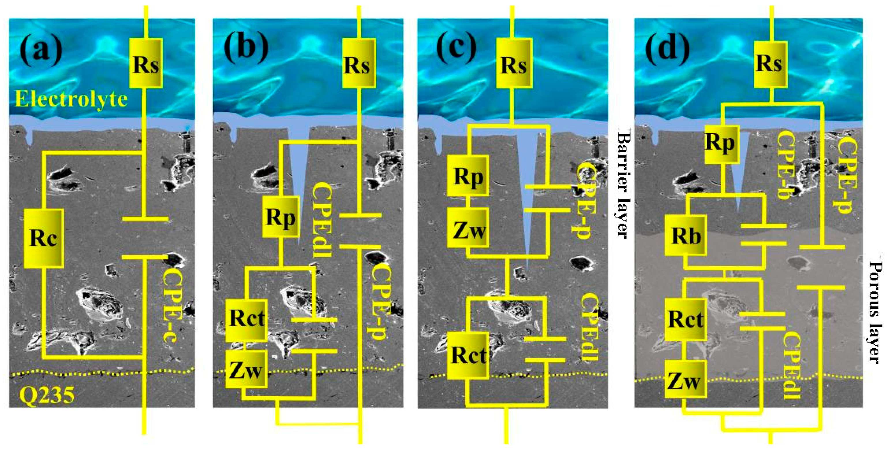 Coatings 15 00623 g014