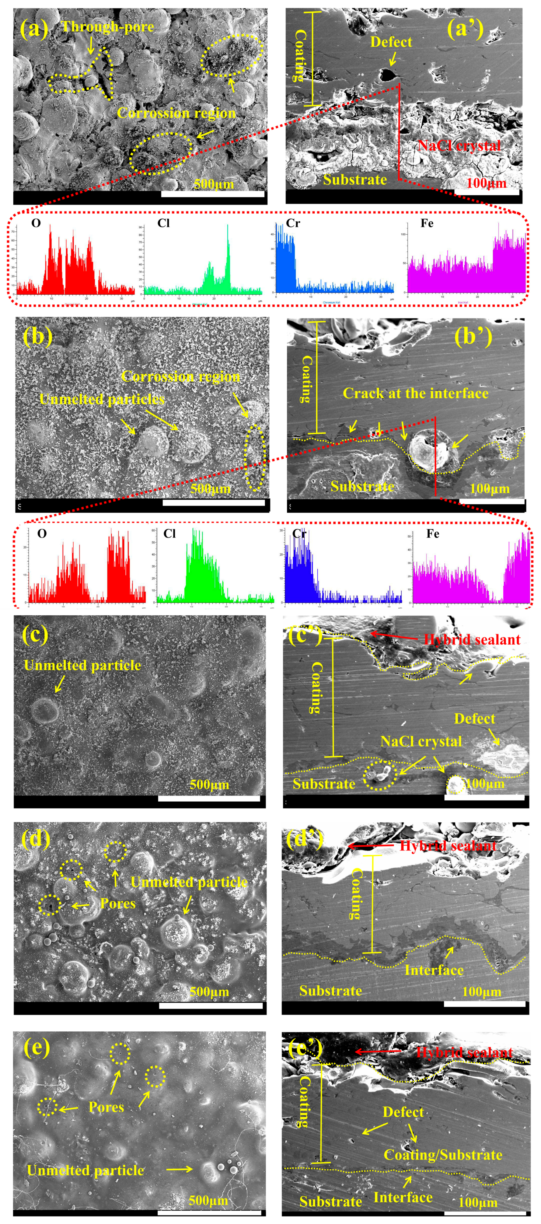 Coatings 15 00623 g016