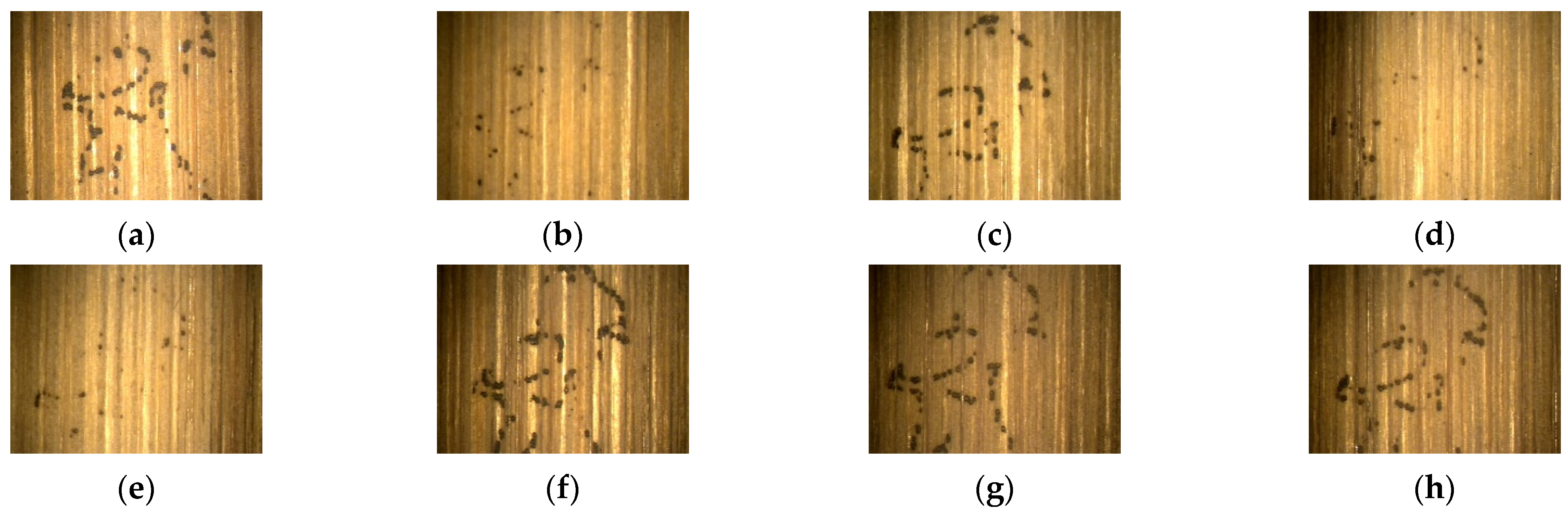 Coatings 15 00624 g012