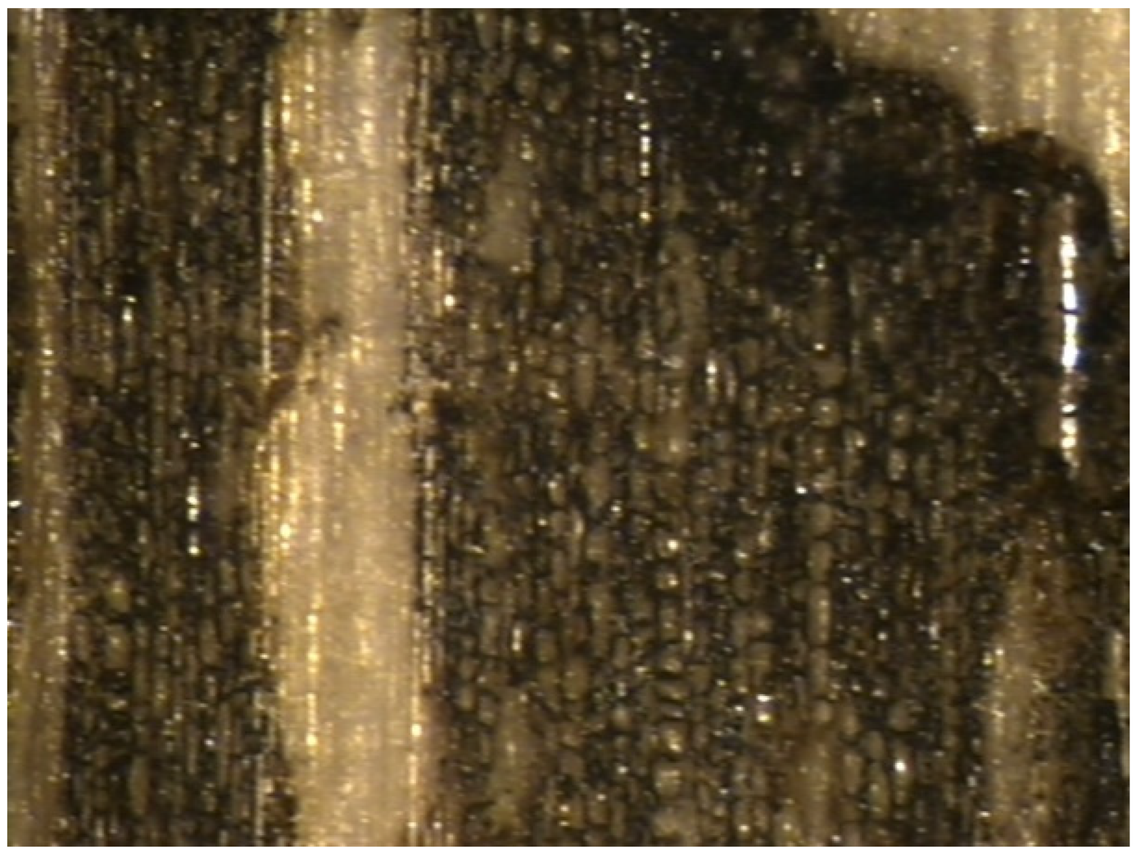 Coatings 15 00624 g014