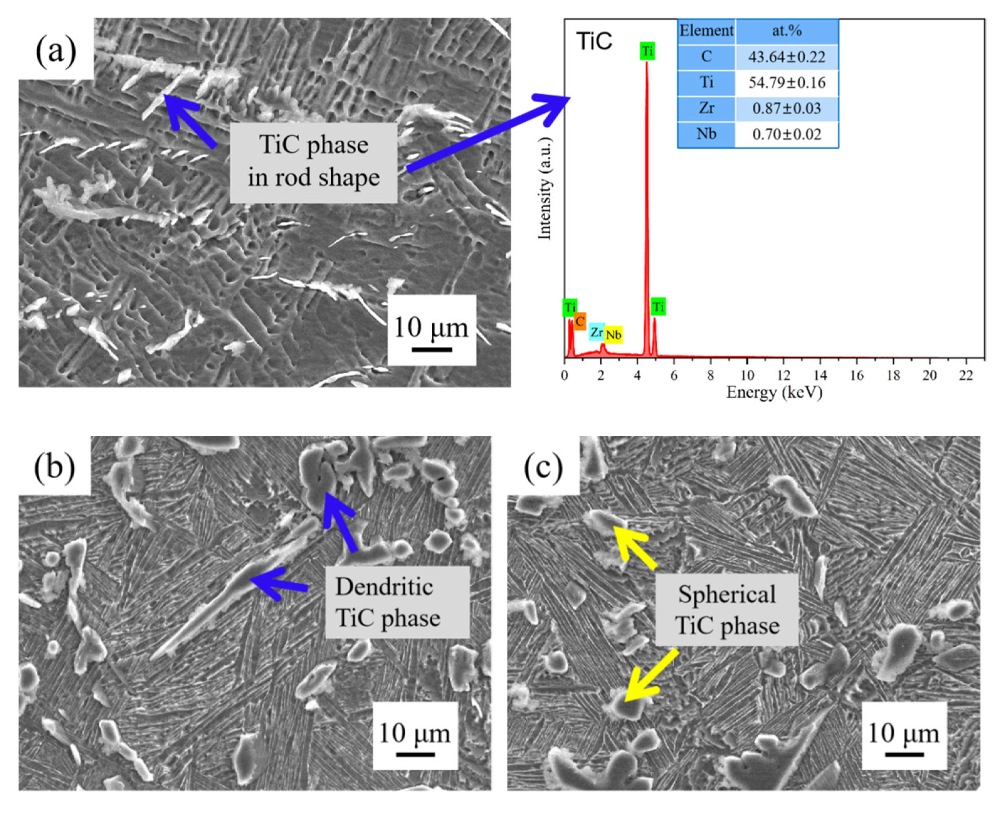 Coatings 15 00626 g004a