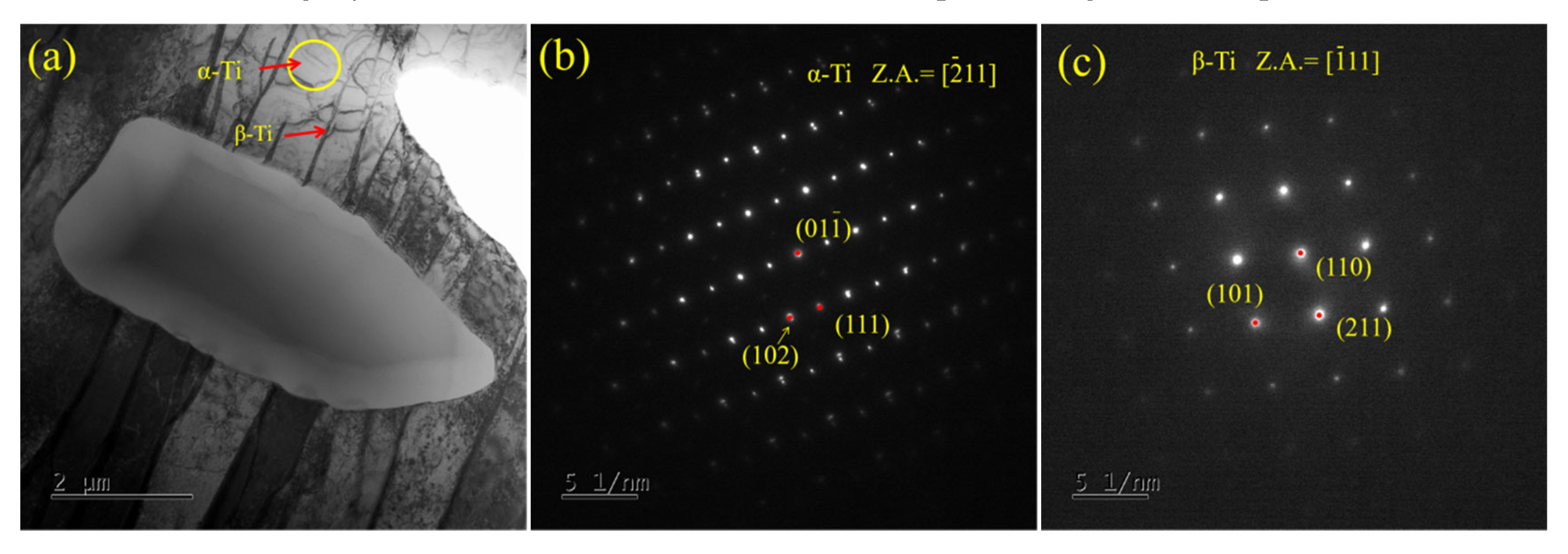 Coatings 15 00626 g005