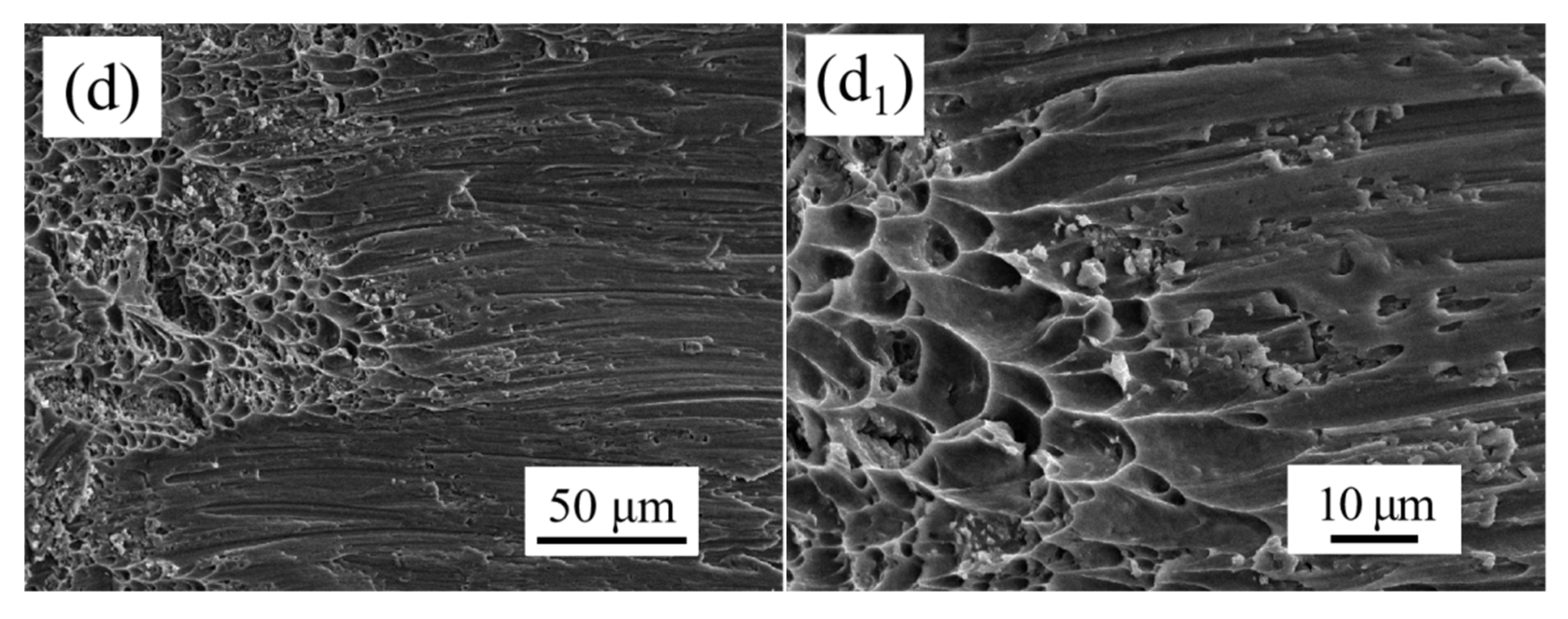Coatings 15 00626 g009b