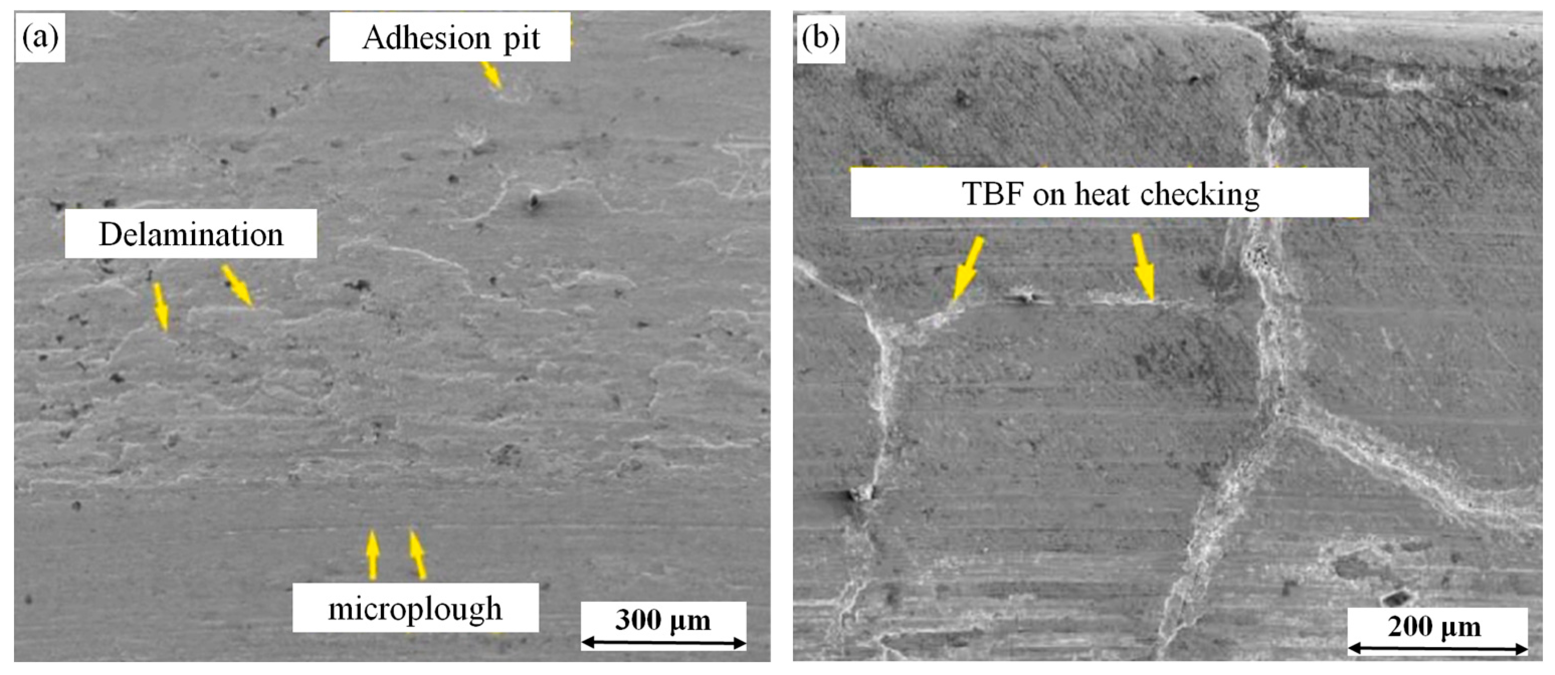 Coatings 15 00628 g004 Coatings 15 00628 g004
