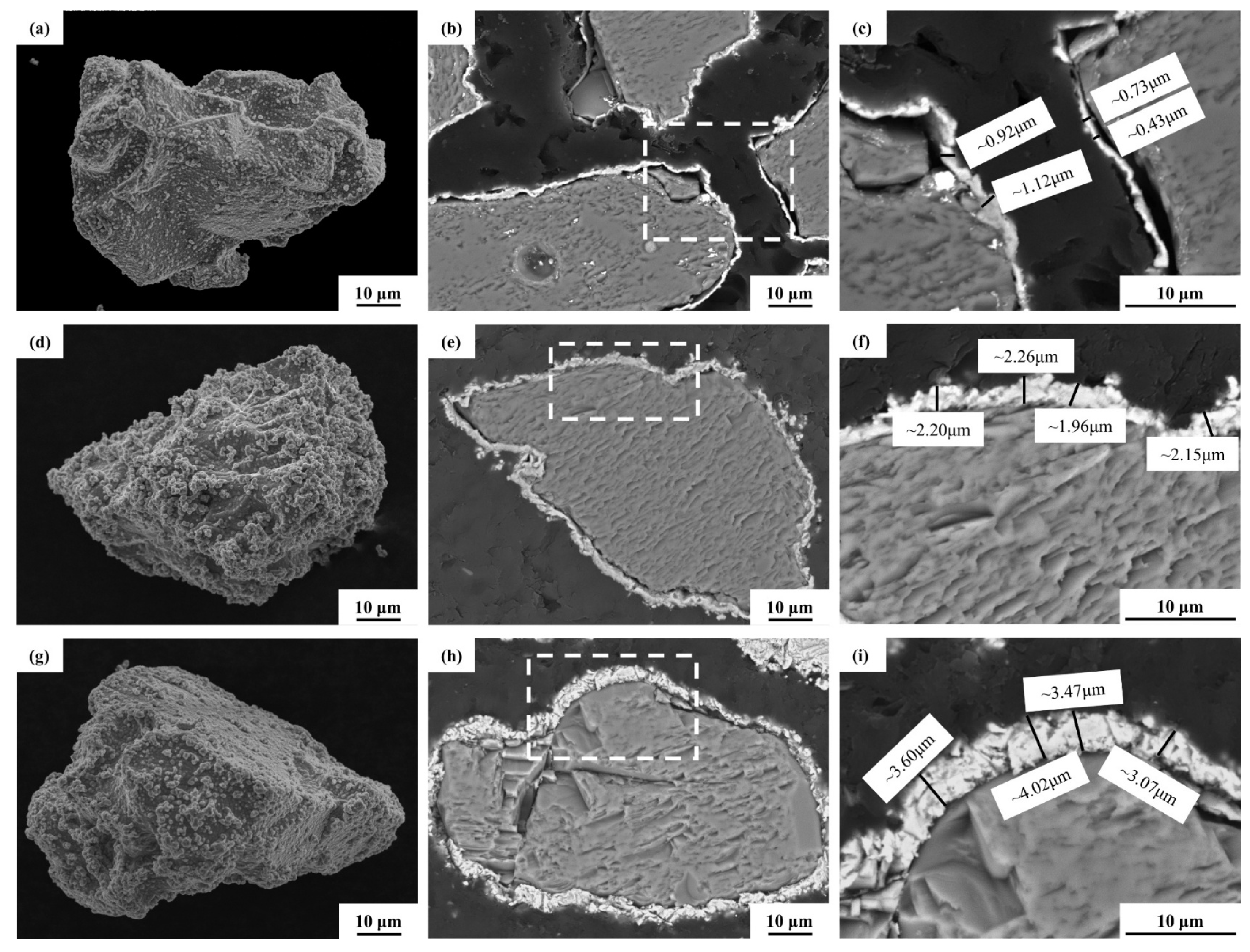 Coatings 15 00629 g003