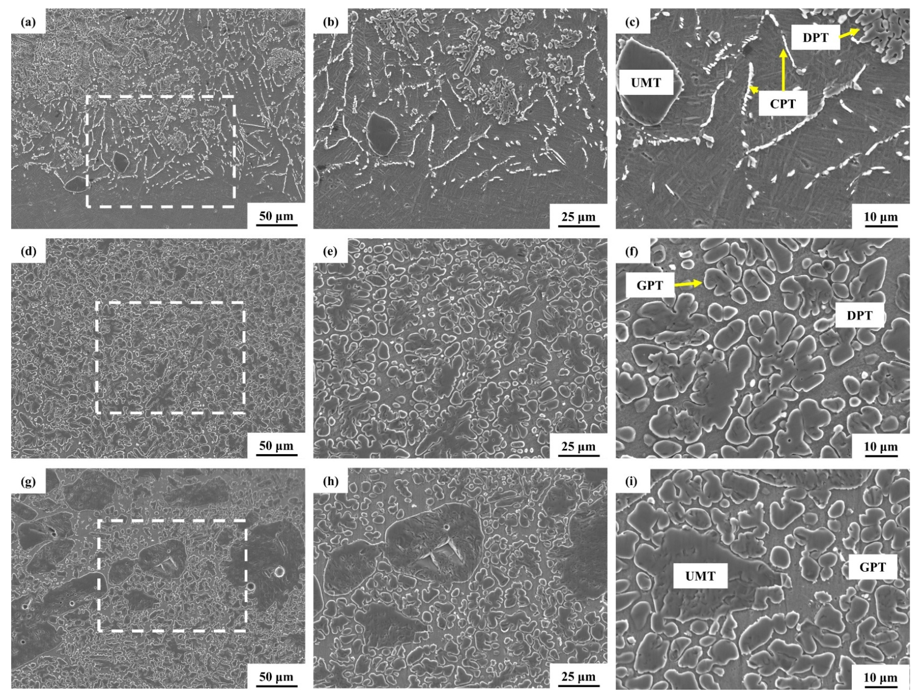 Coatings 15 00629 g007