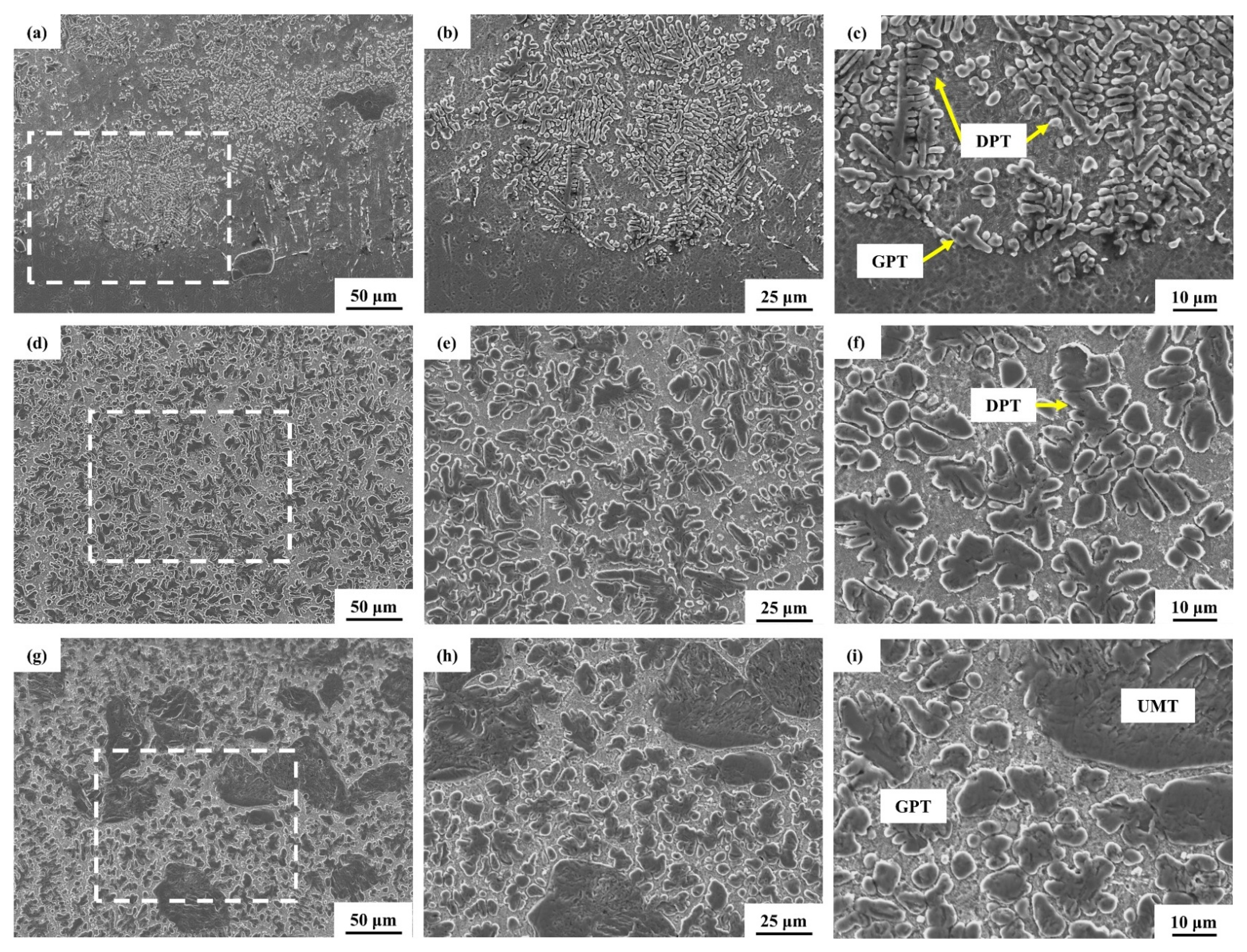 Coatings 15 00629 g008