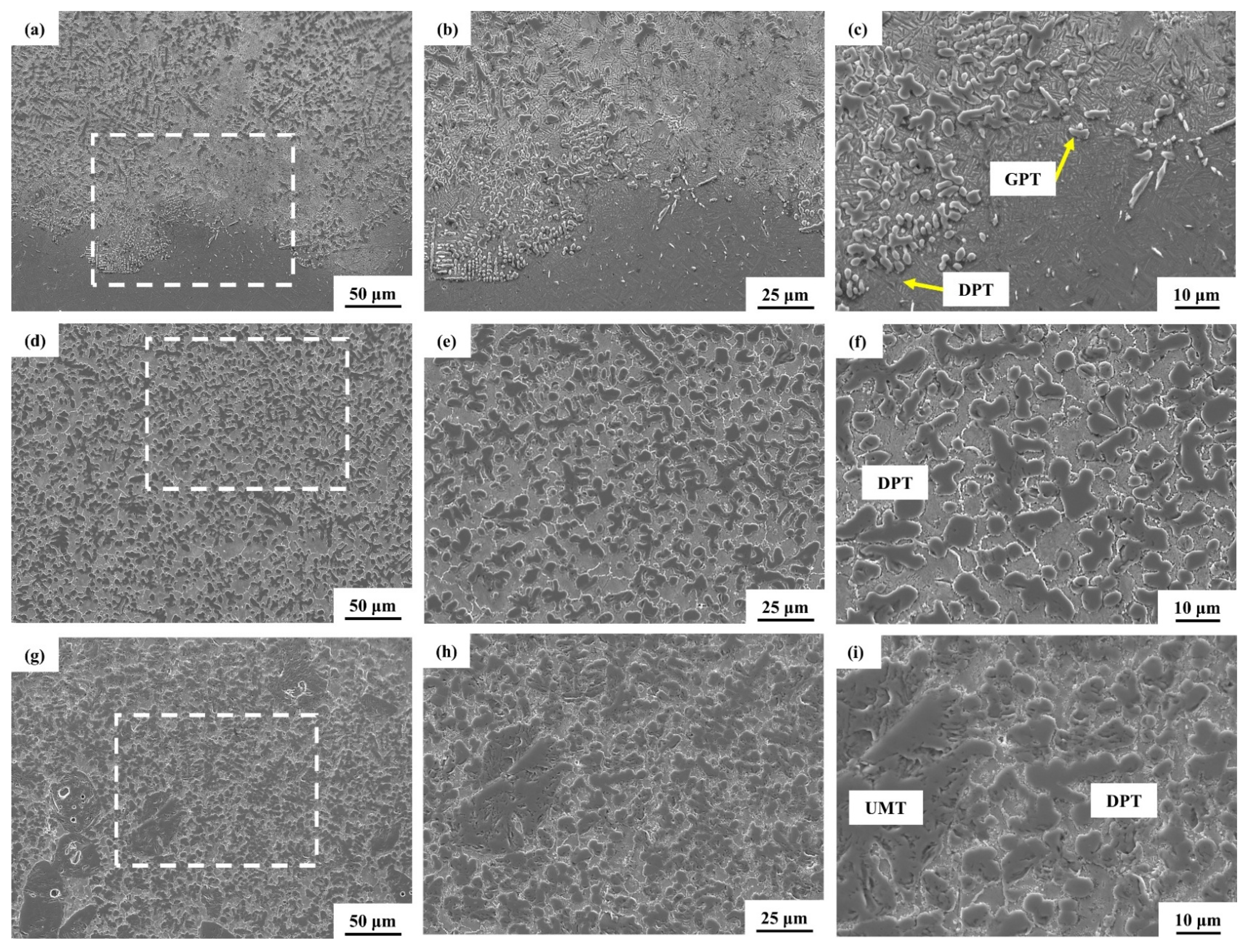 Coatings 15 00629 g010