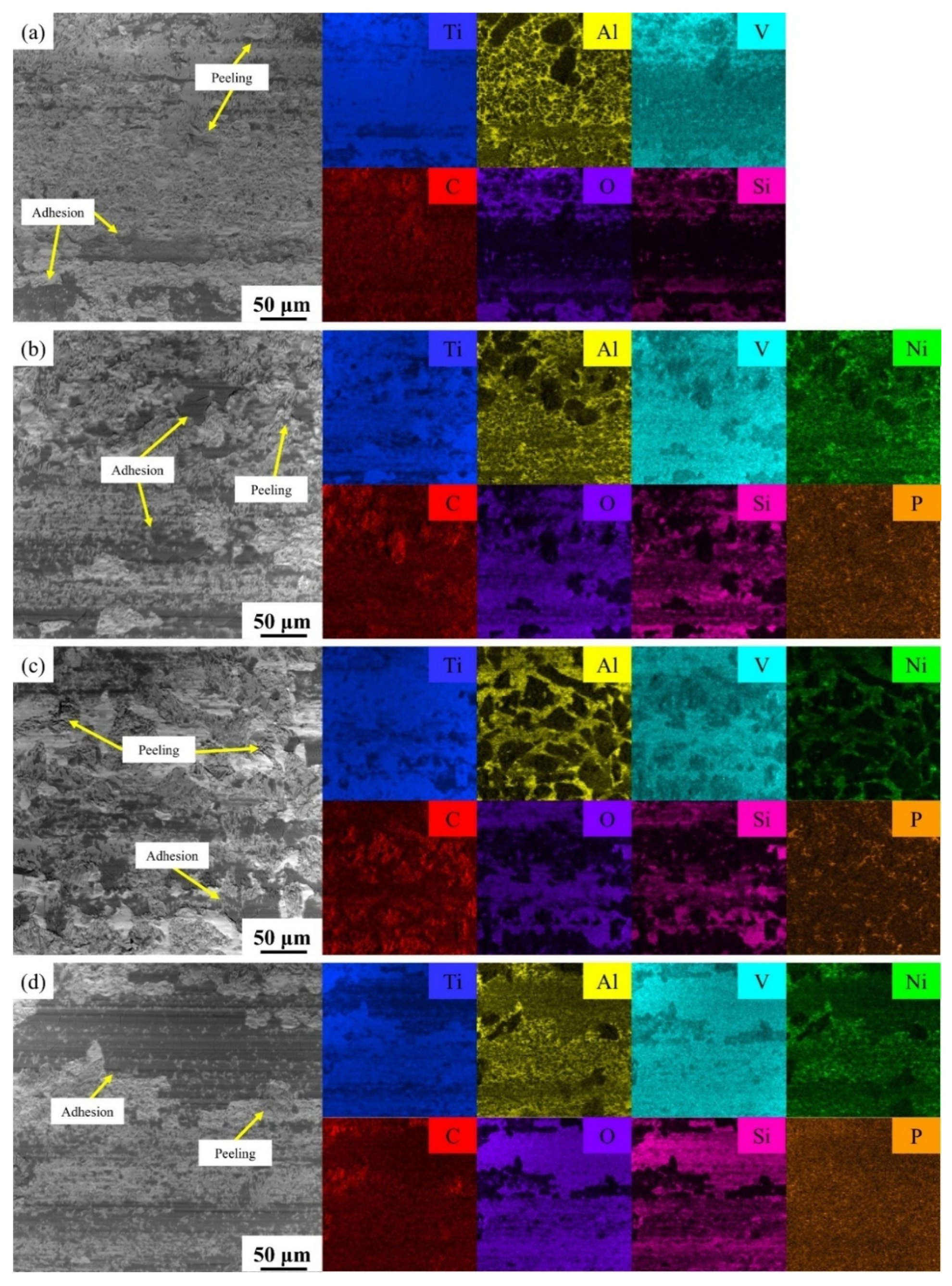 Coatings 15 00629 g015
