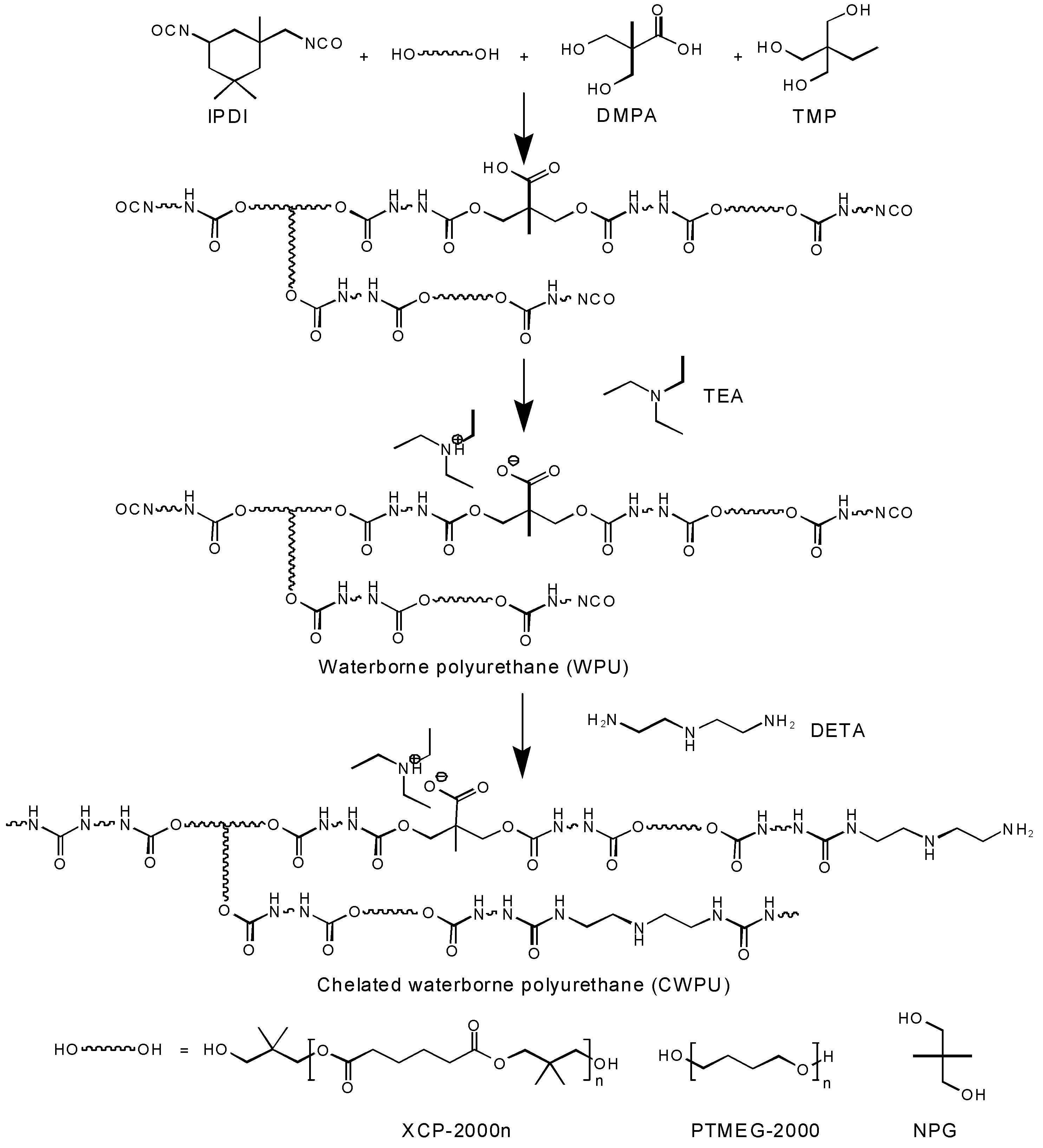 Coatings 15 00631 g001