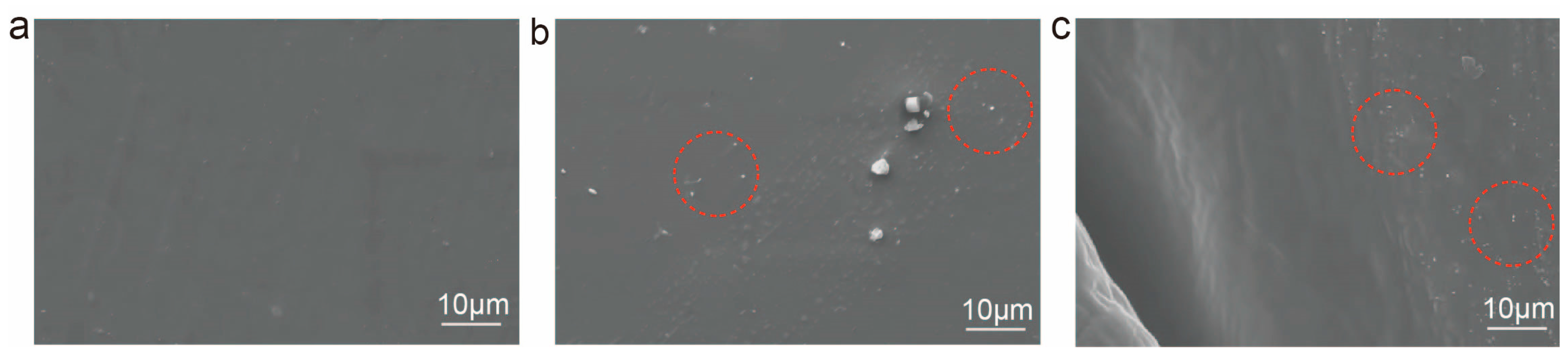 Coatings 15 00631 g003